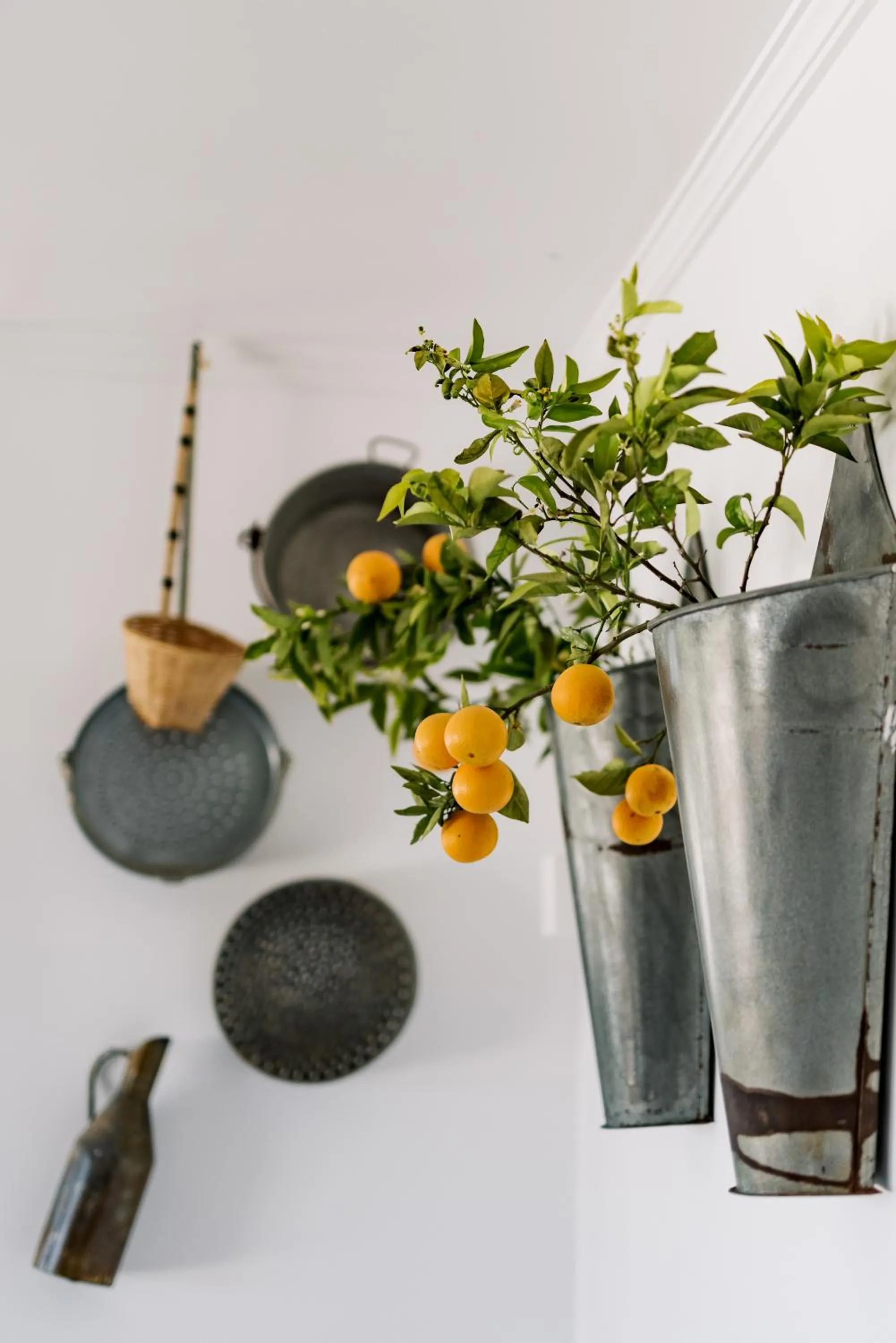 Conversas de Alpendre