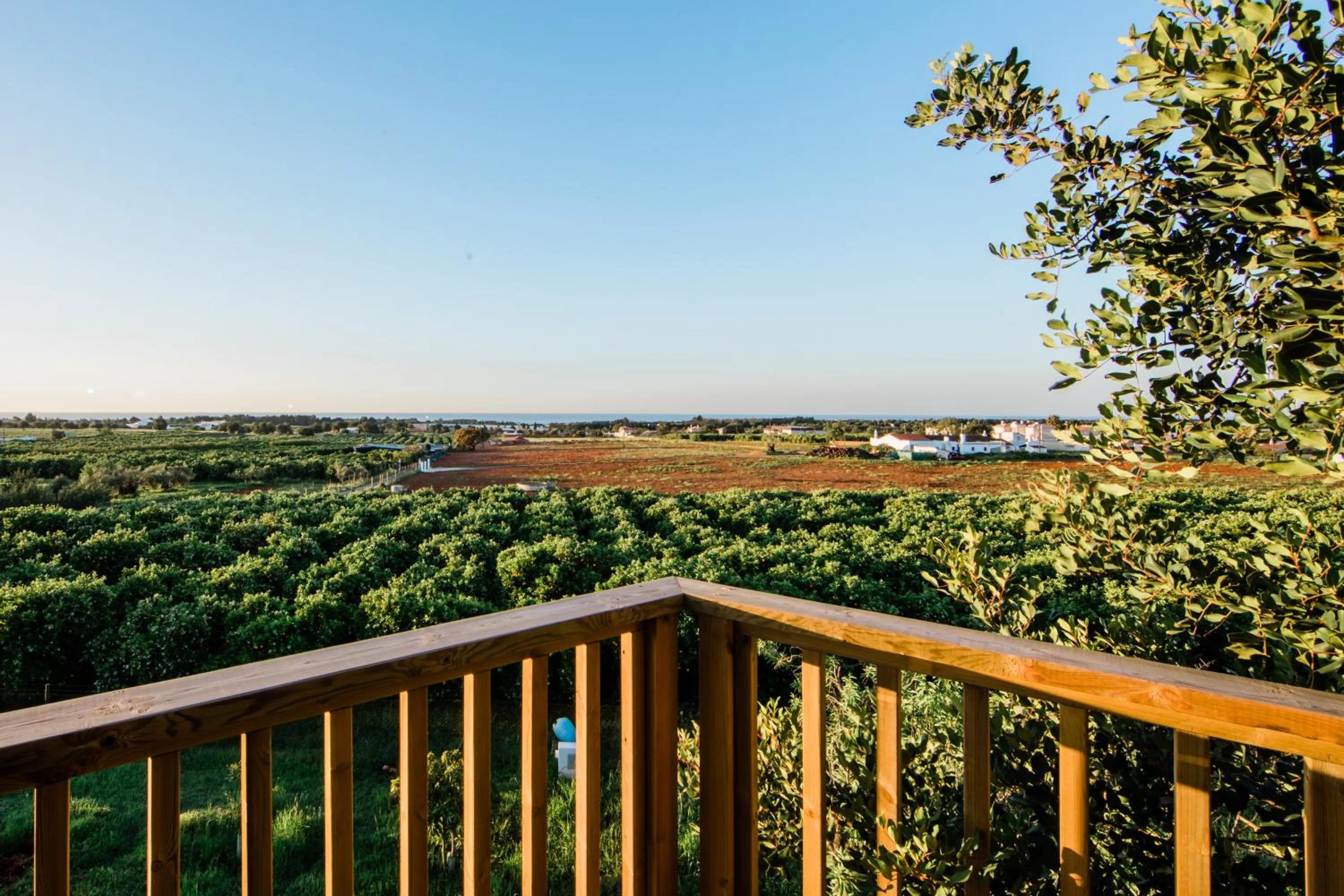 Garden view in Conversas de Alpendre