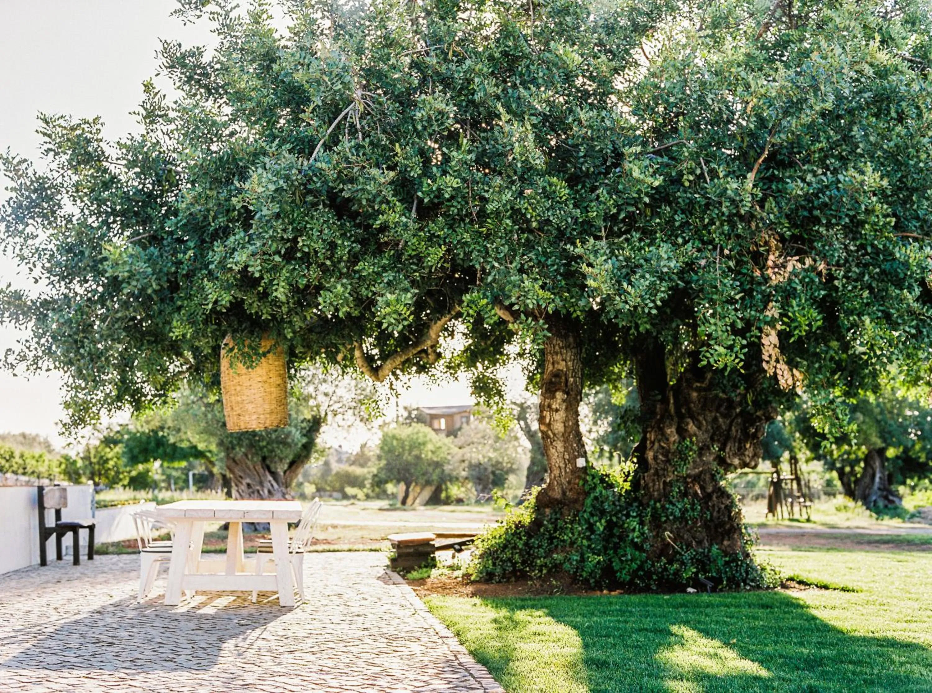 Garden in Conversas de Alpendre