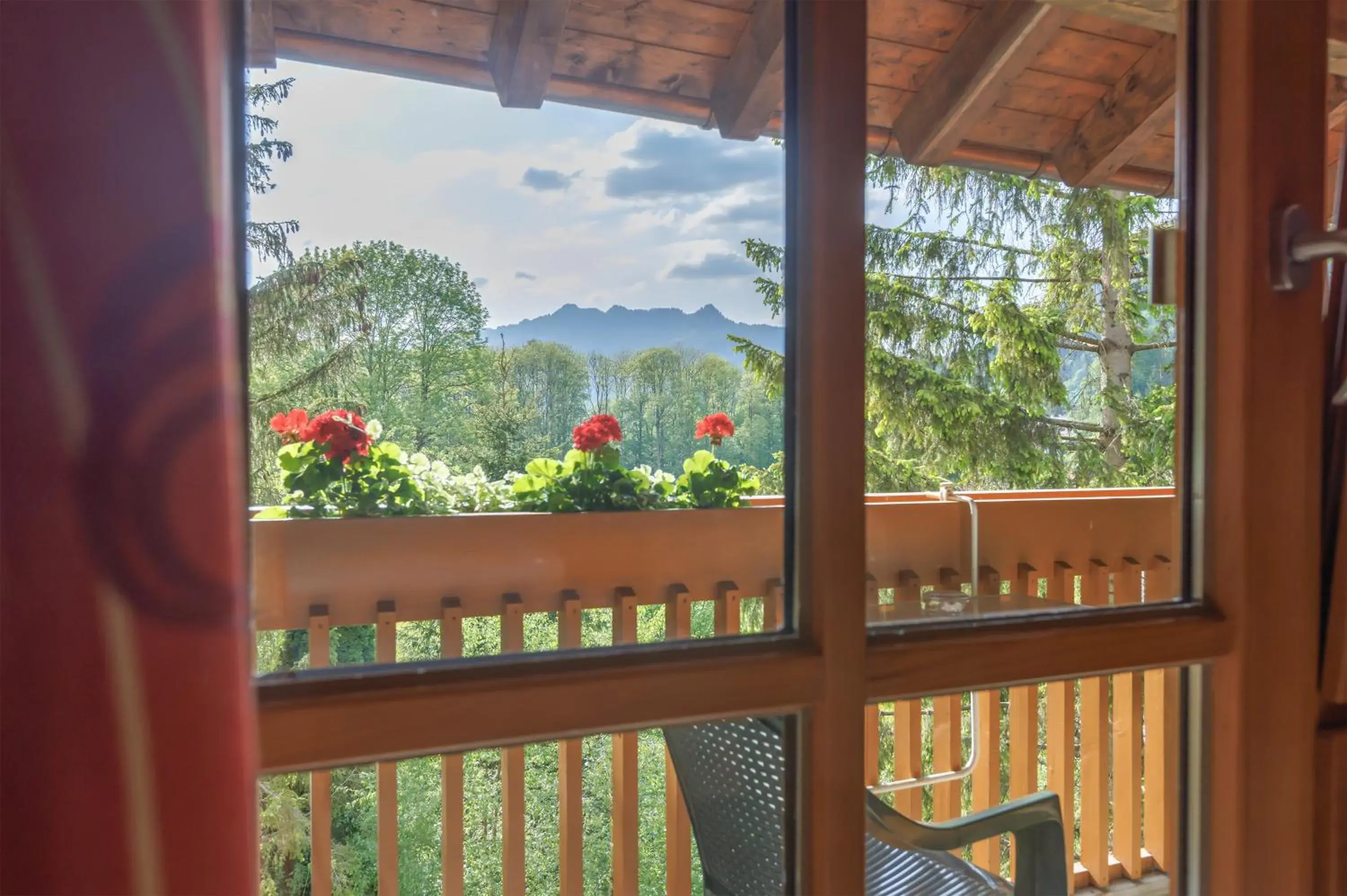 Mountain View in Alphotel Ettal