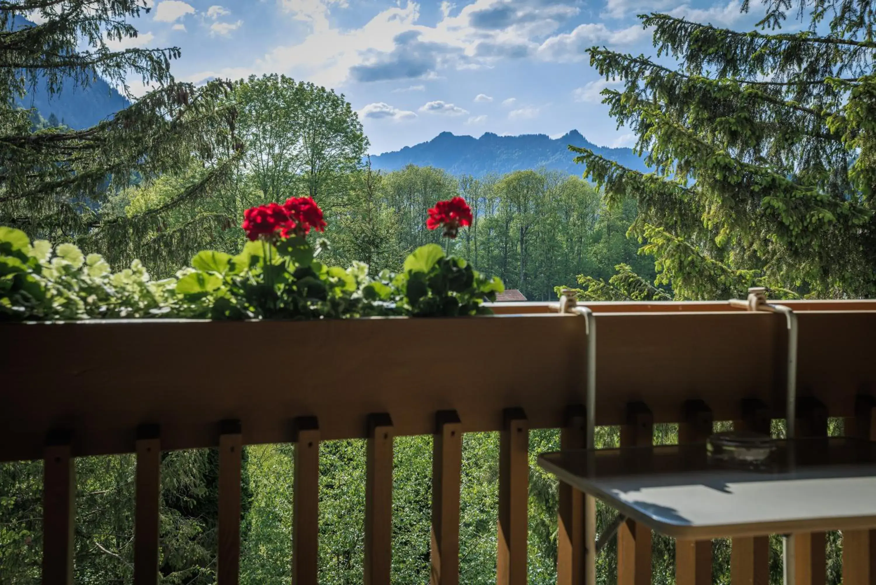 Spring, Mountain View in Alphotel Ettal