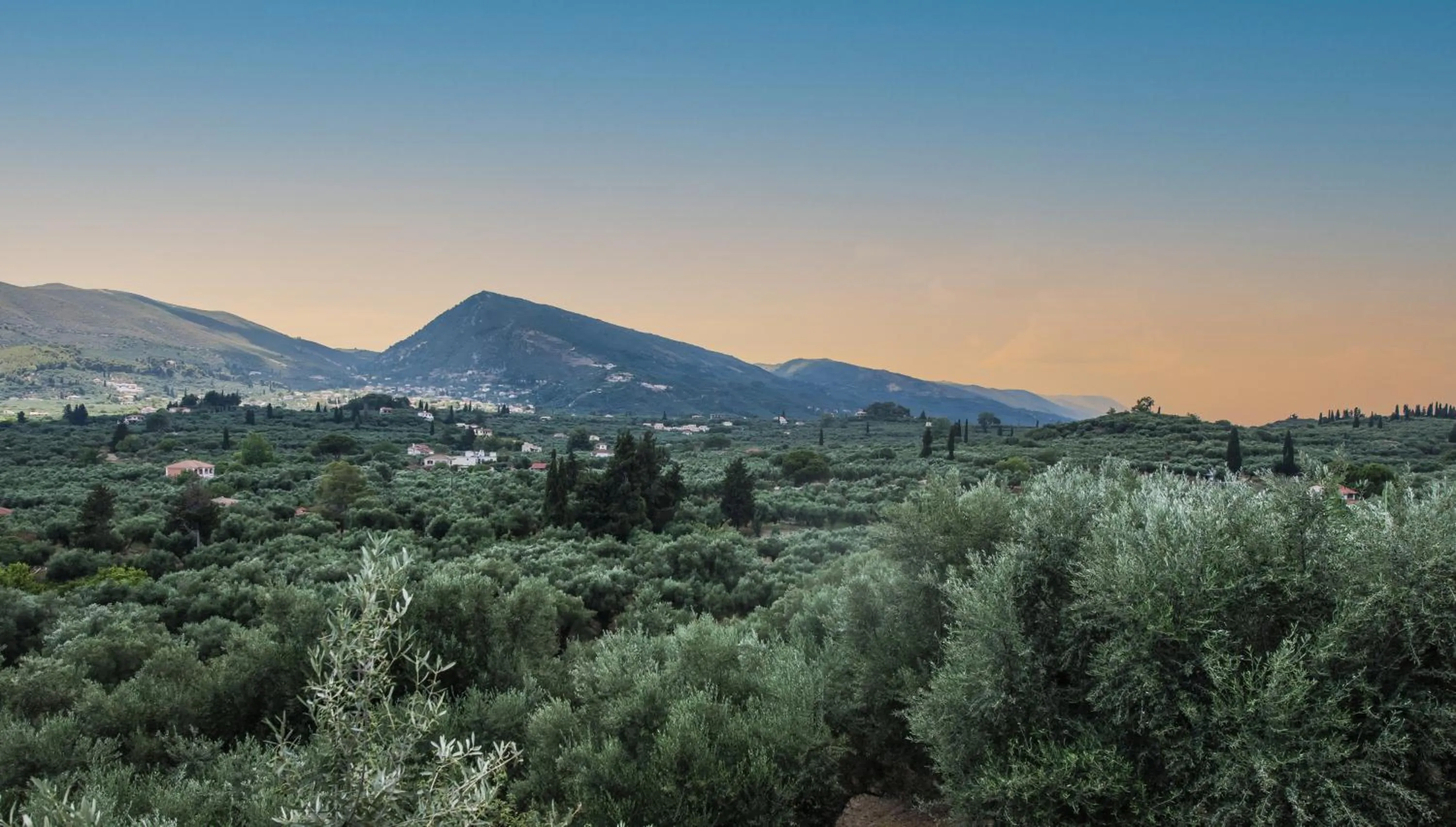 Odysseas Studios