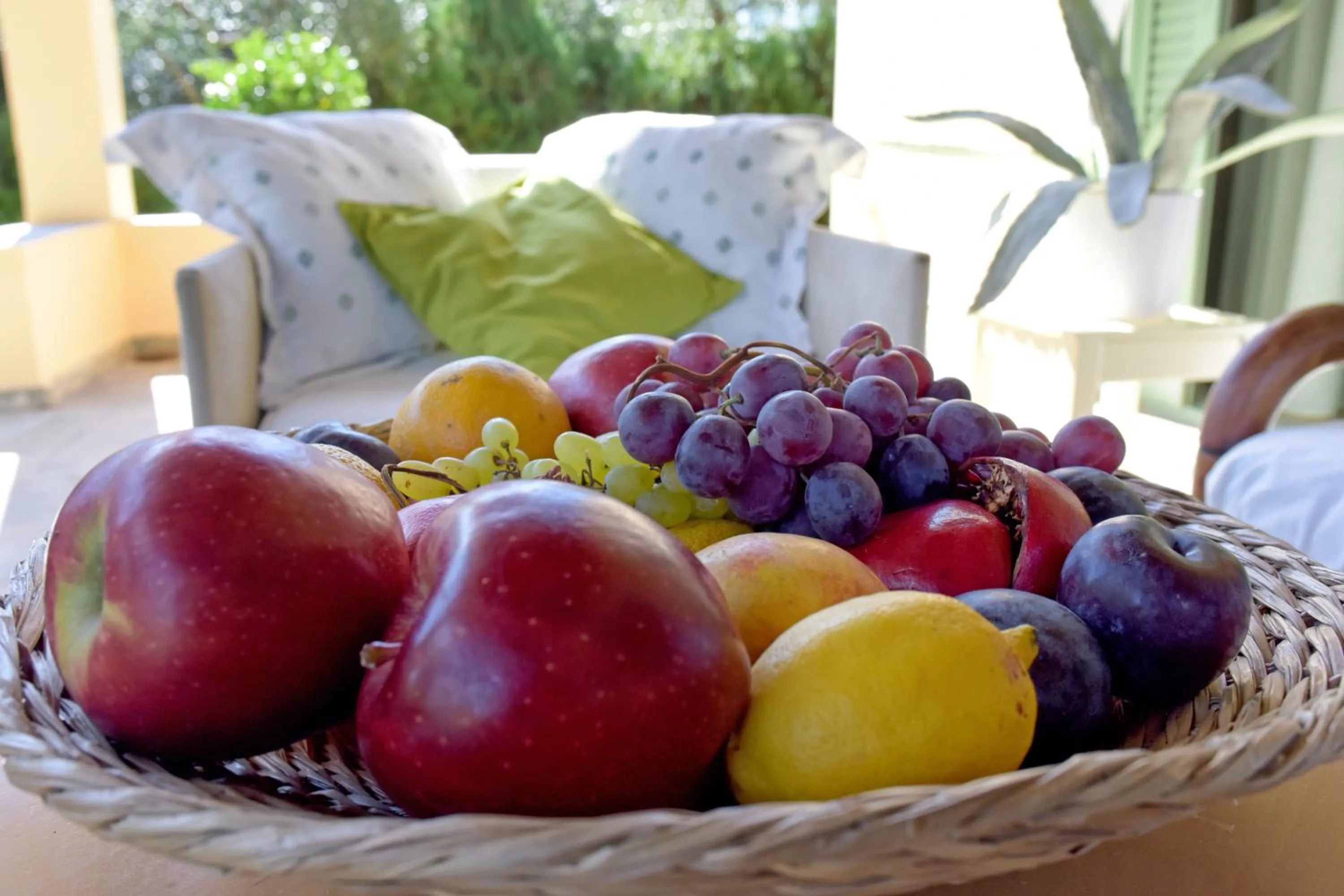 Balcony/Terrace in Isabella Country House