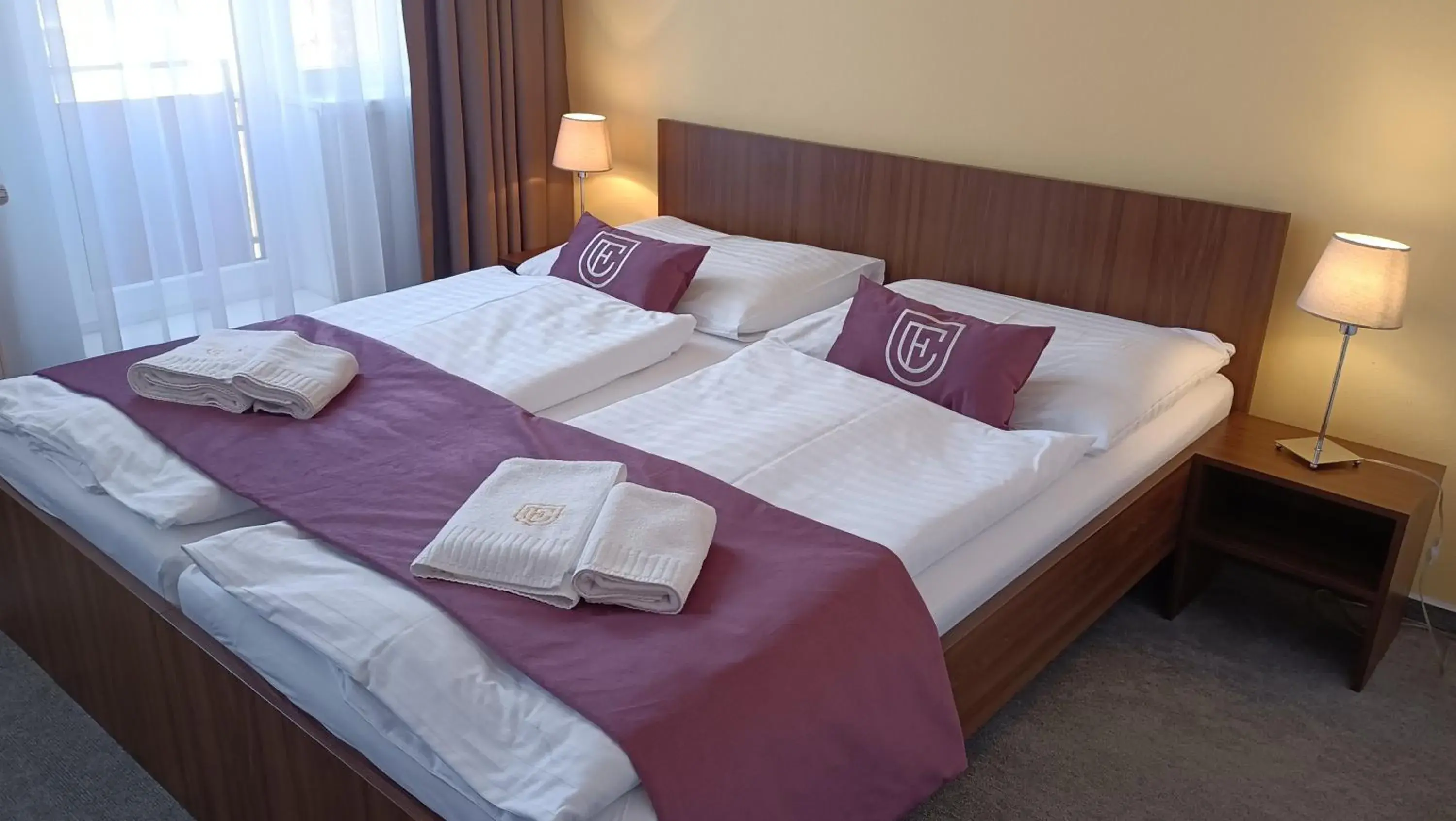 Standard Double Room - single occupancy in Hotel Eminent Standard Double Room - single occupancy in Hotel Eminent