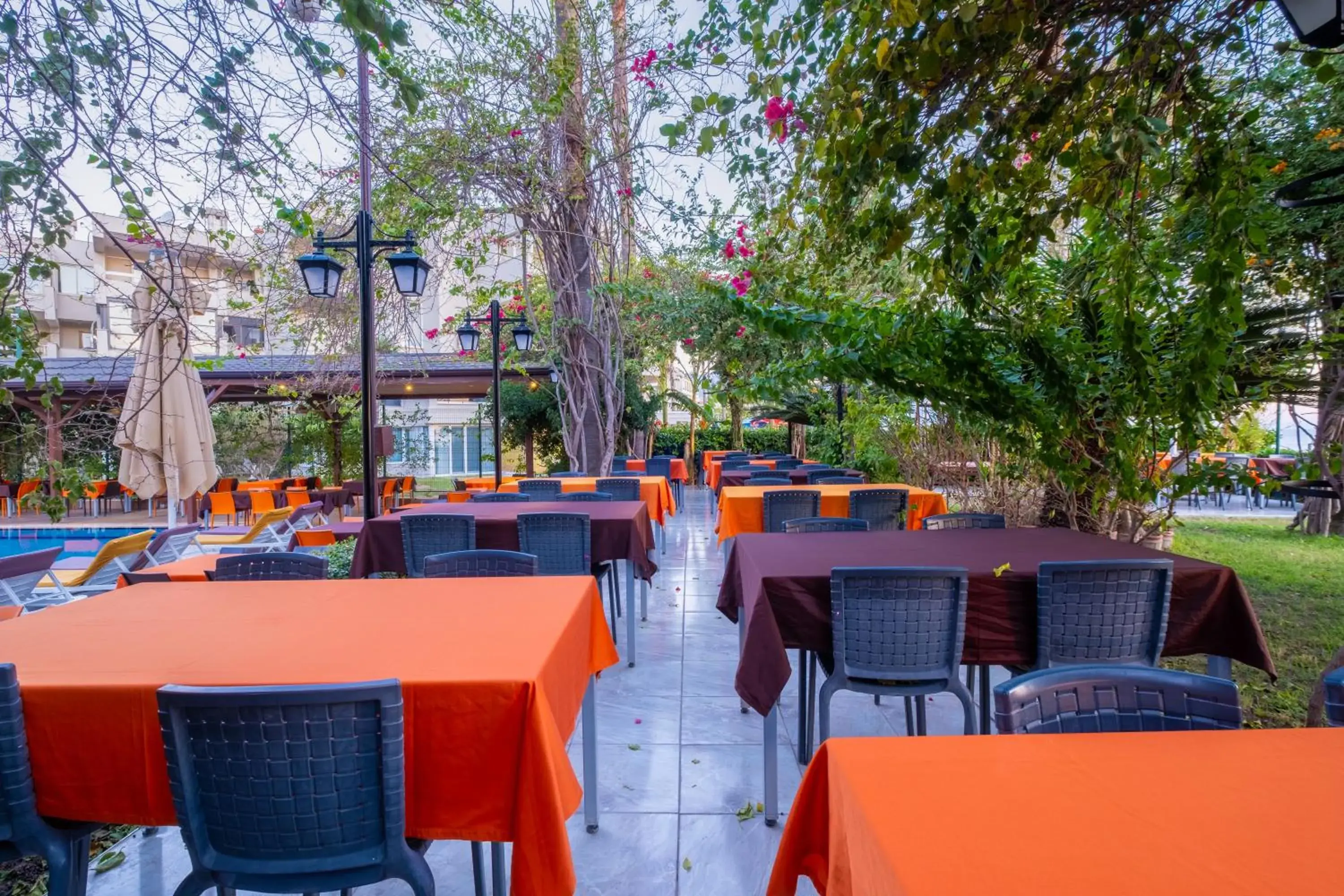 Restaurant/places to eat in Fame Beach Hotel Restaurant/places to eat in Fame Beach Hotel