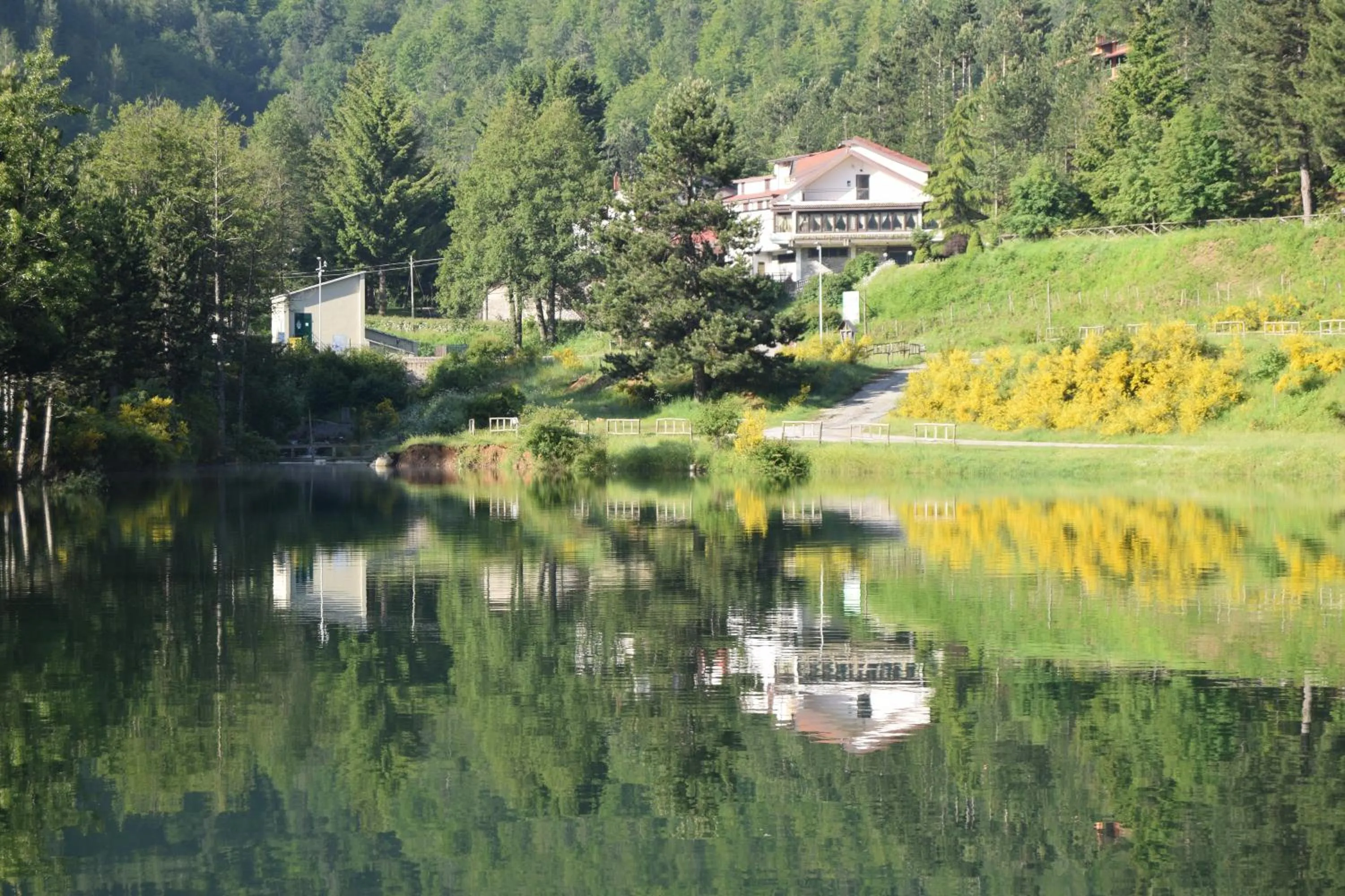 Balcony/Terrace in hotel lo sciatore
