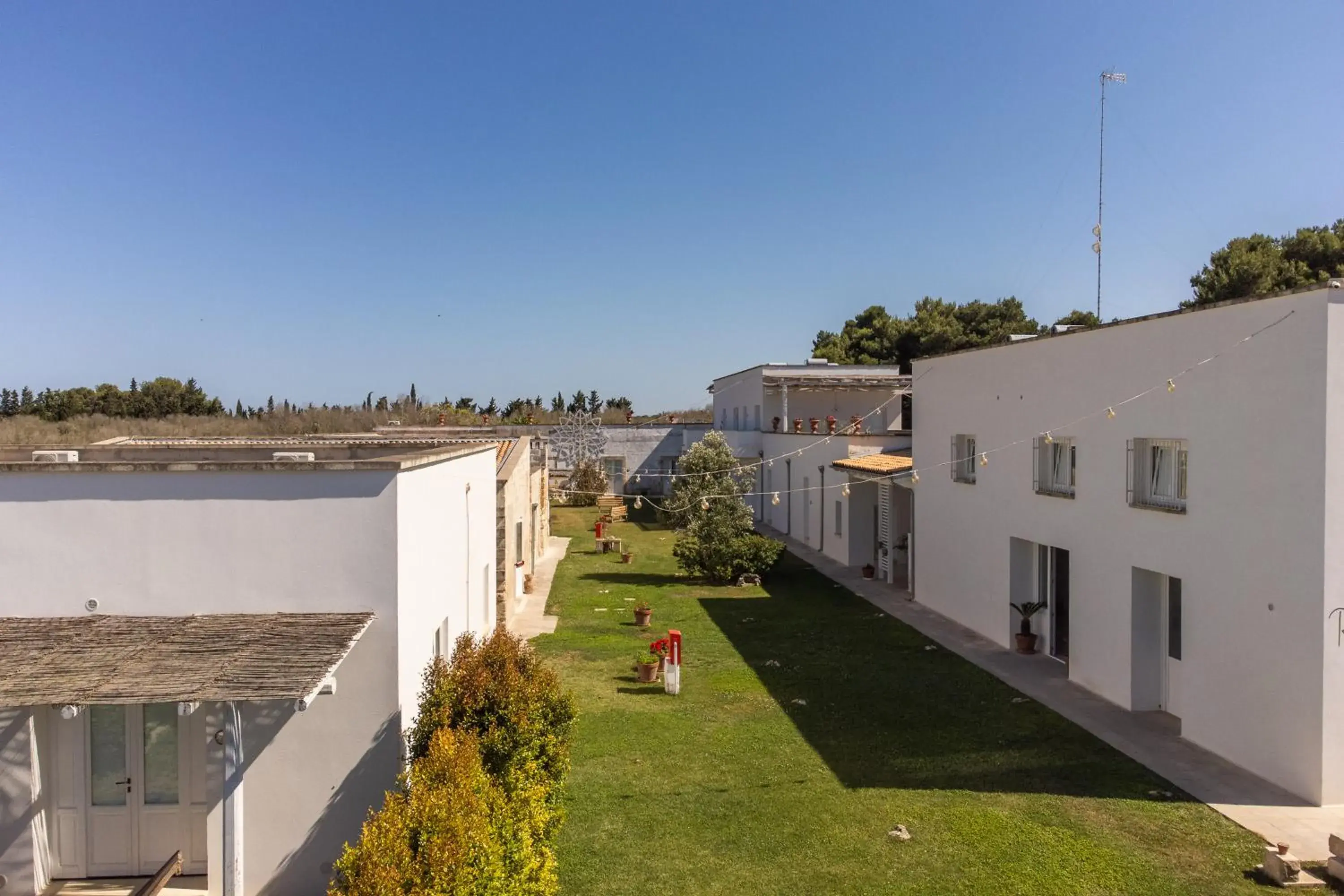 View (from property/room) in Masseria Rauccio View (from property/room) in Masseria Rauccio