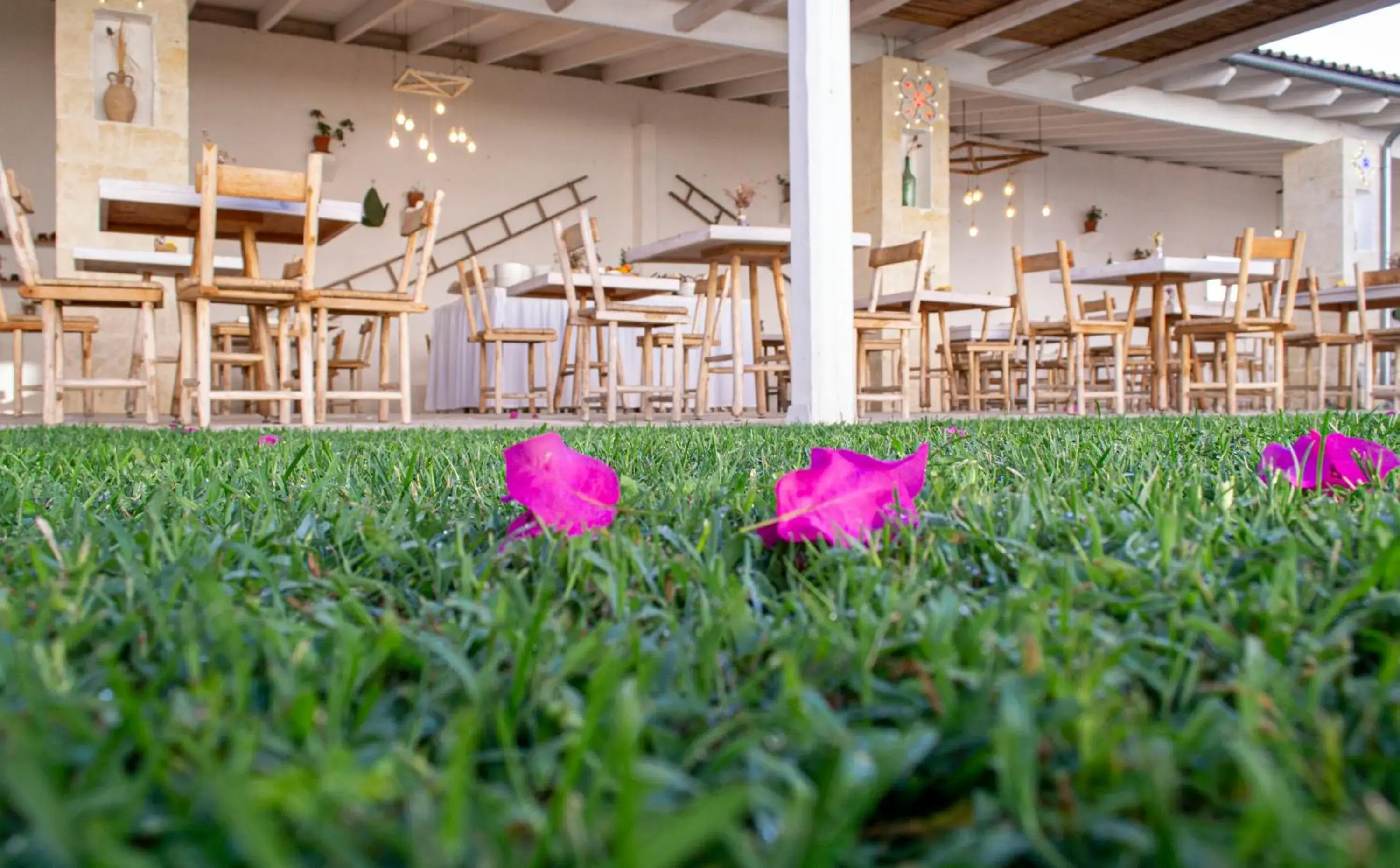 Restaurant/places to eat in Masseria Rauccio Restaurant/places to eat in Masseria Rauccio