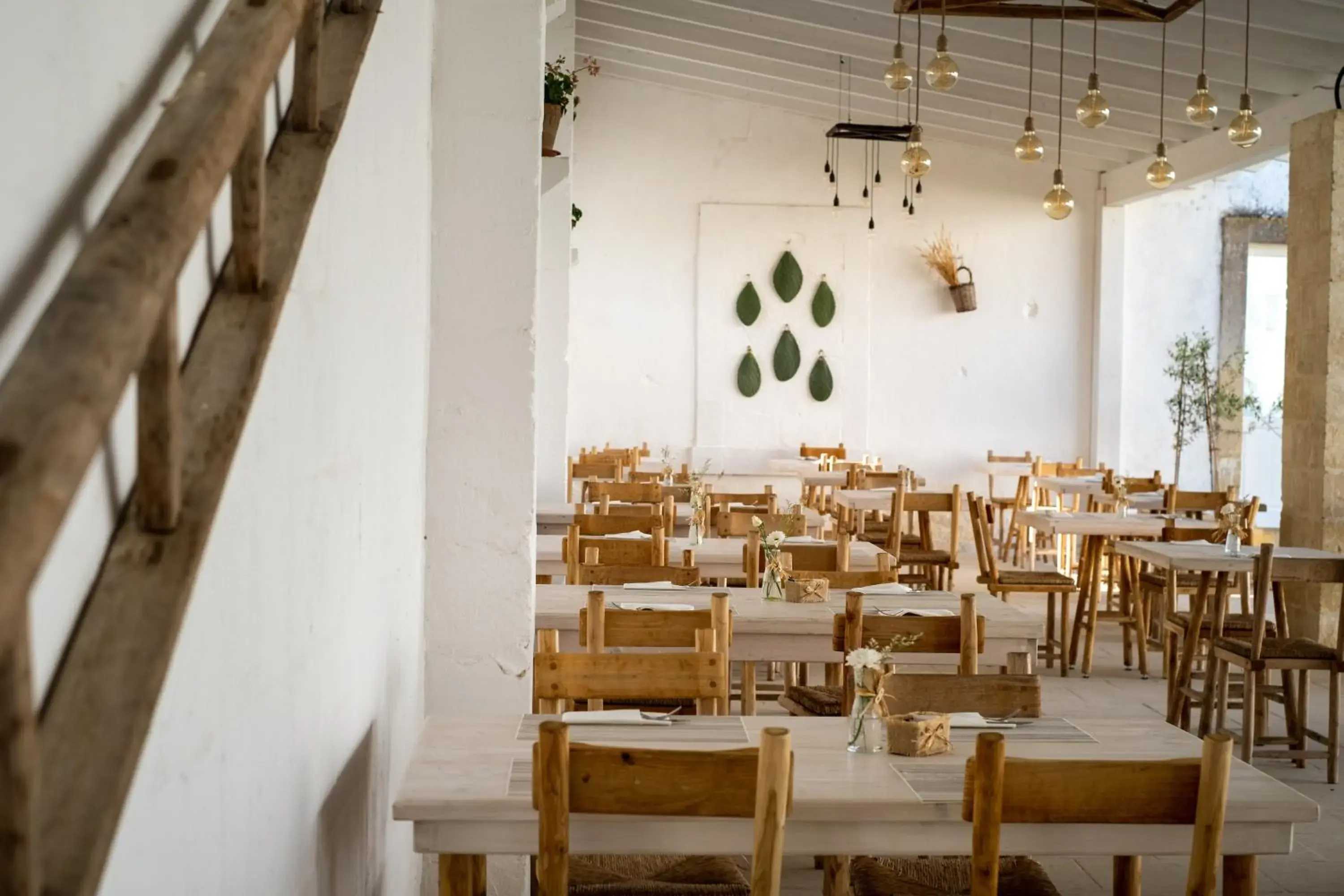 Restaurant/places to eat in Masseria Rauccio Restaurant/places to eat in Masseria Rauccio