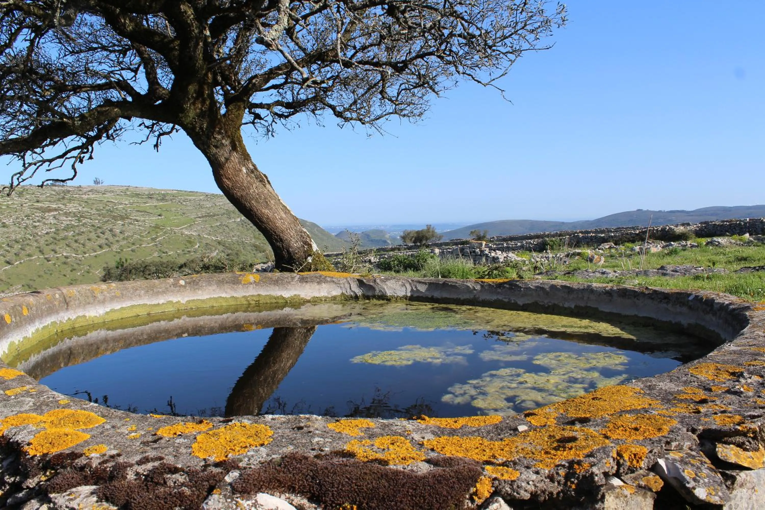Natural landscape in Rito Hall da Serra