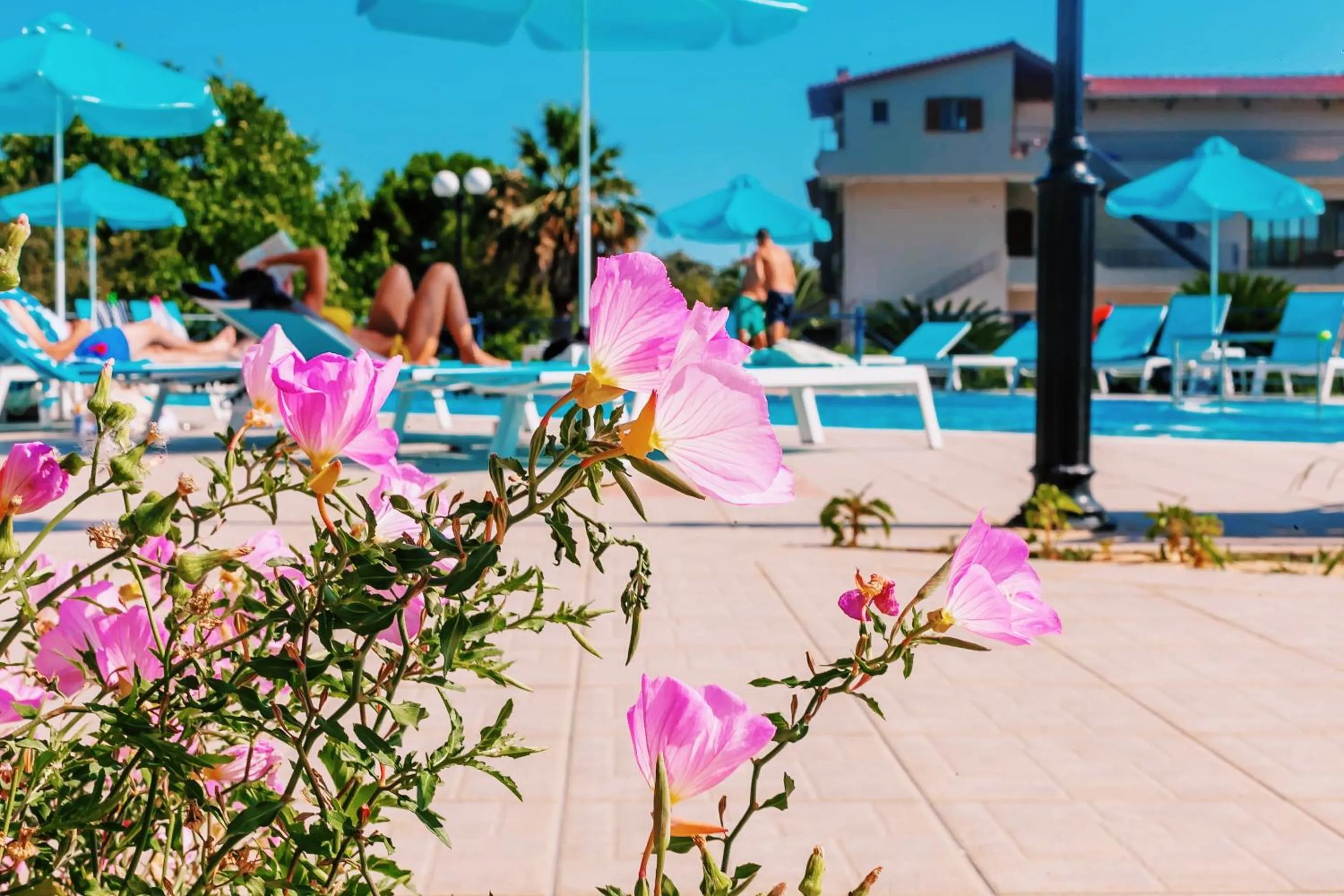 Day in Villa Diamond