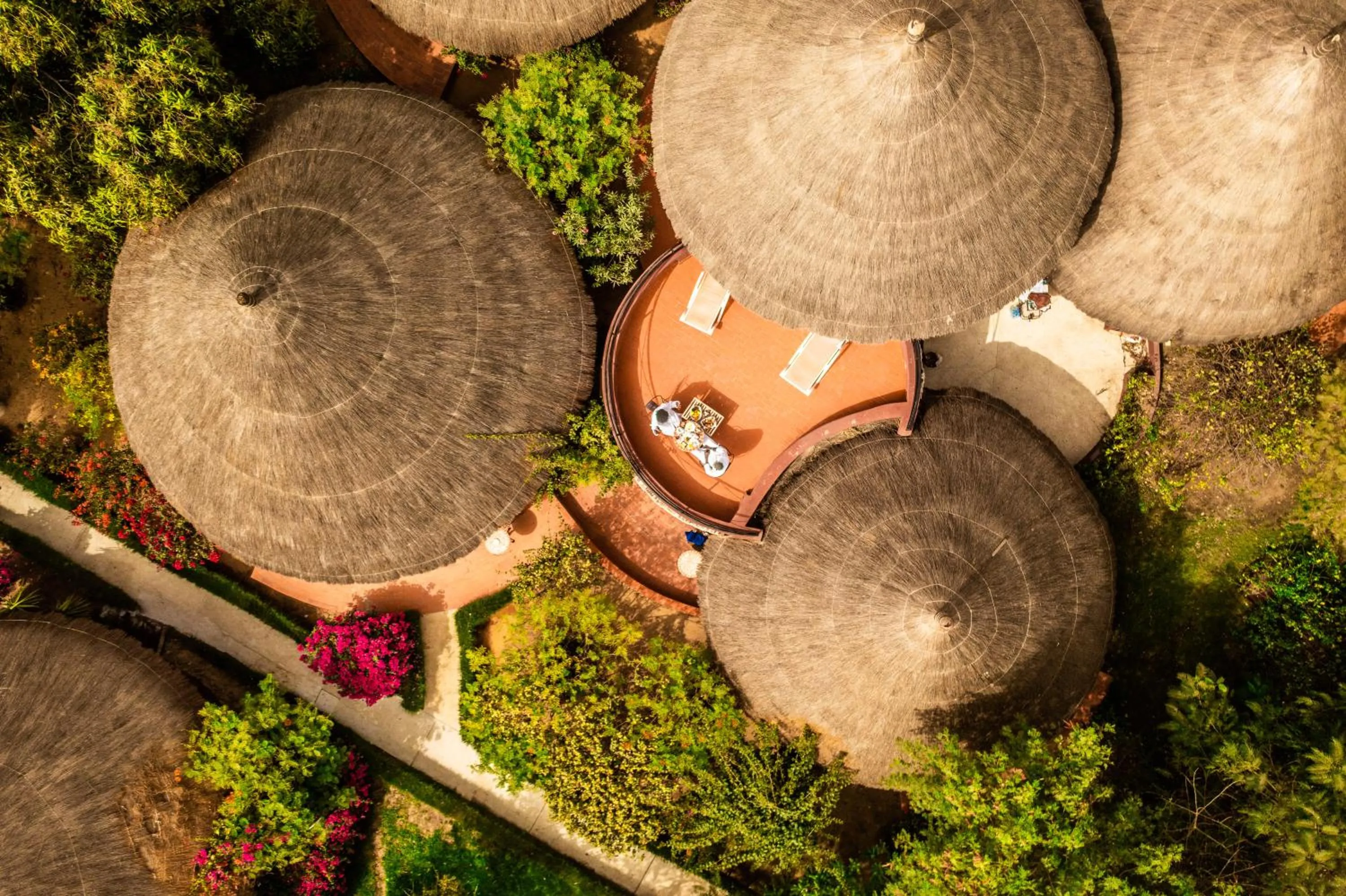 Patio in Hotel Royam