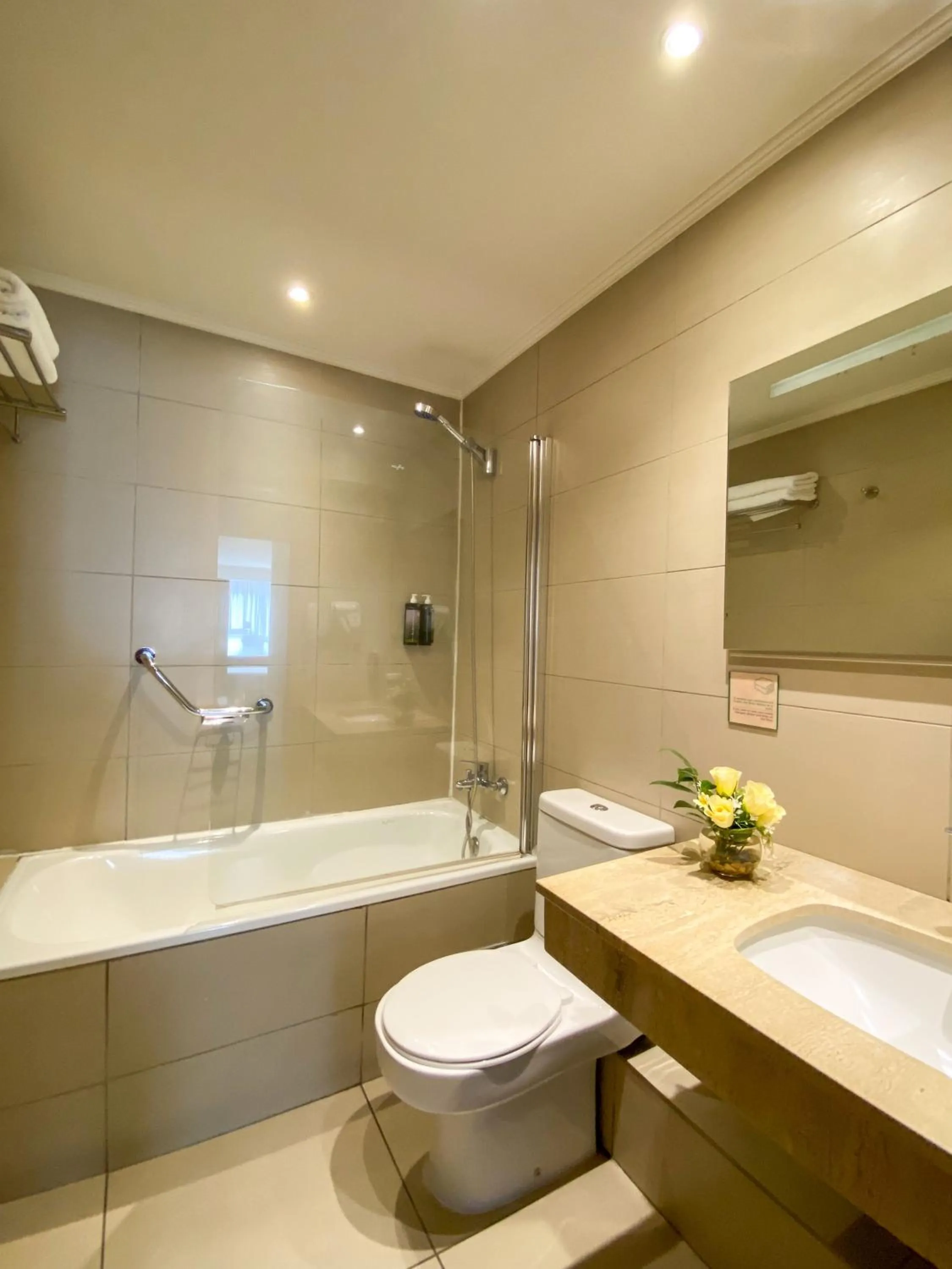 Shower in Hotel Terrano Concepción