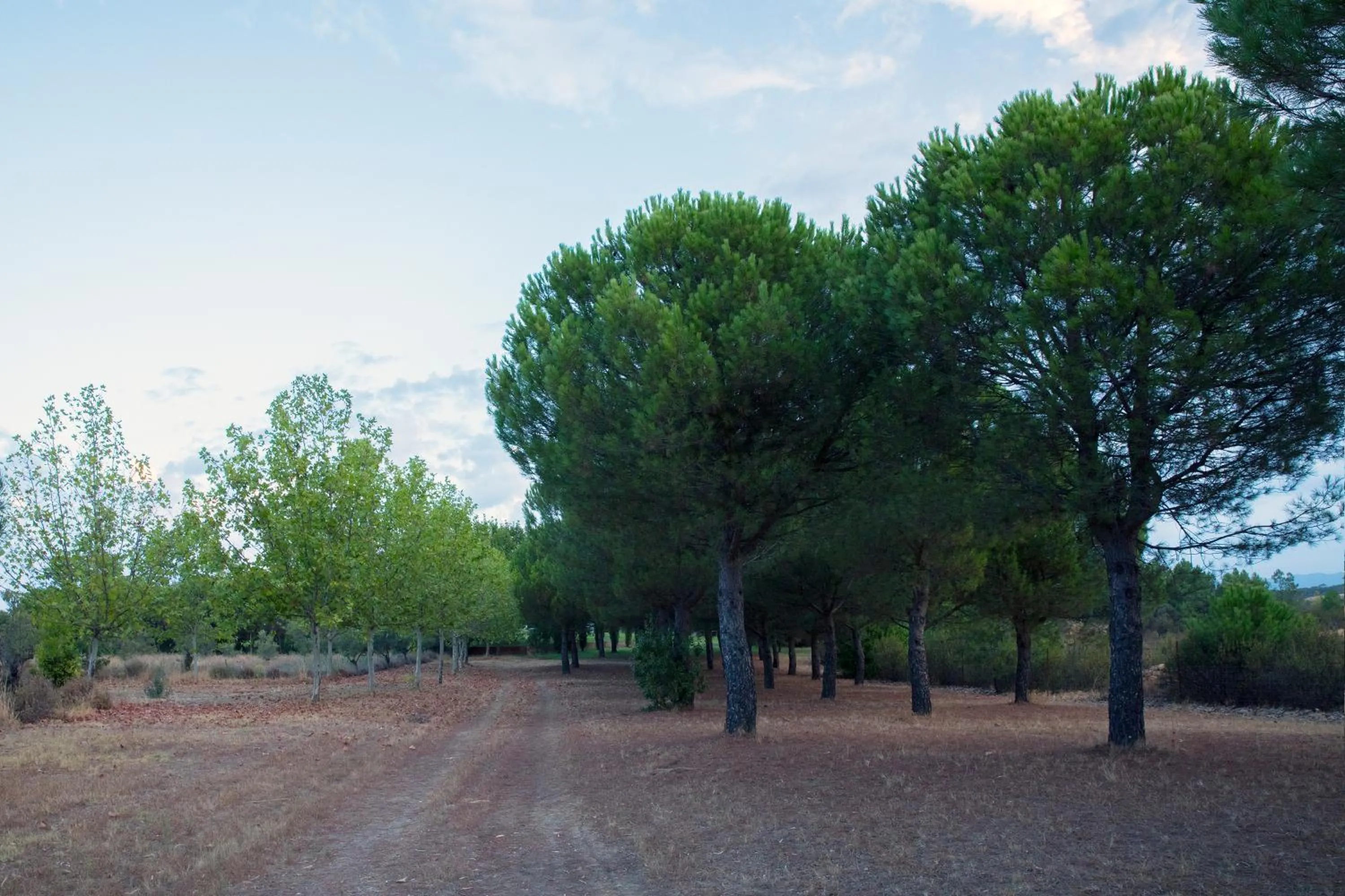 Natural landscape in Hotel Rural Las Tejuelas