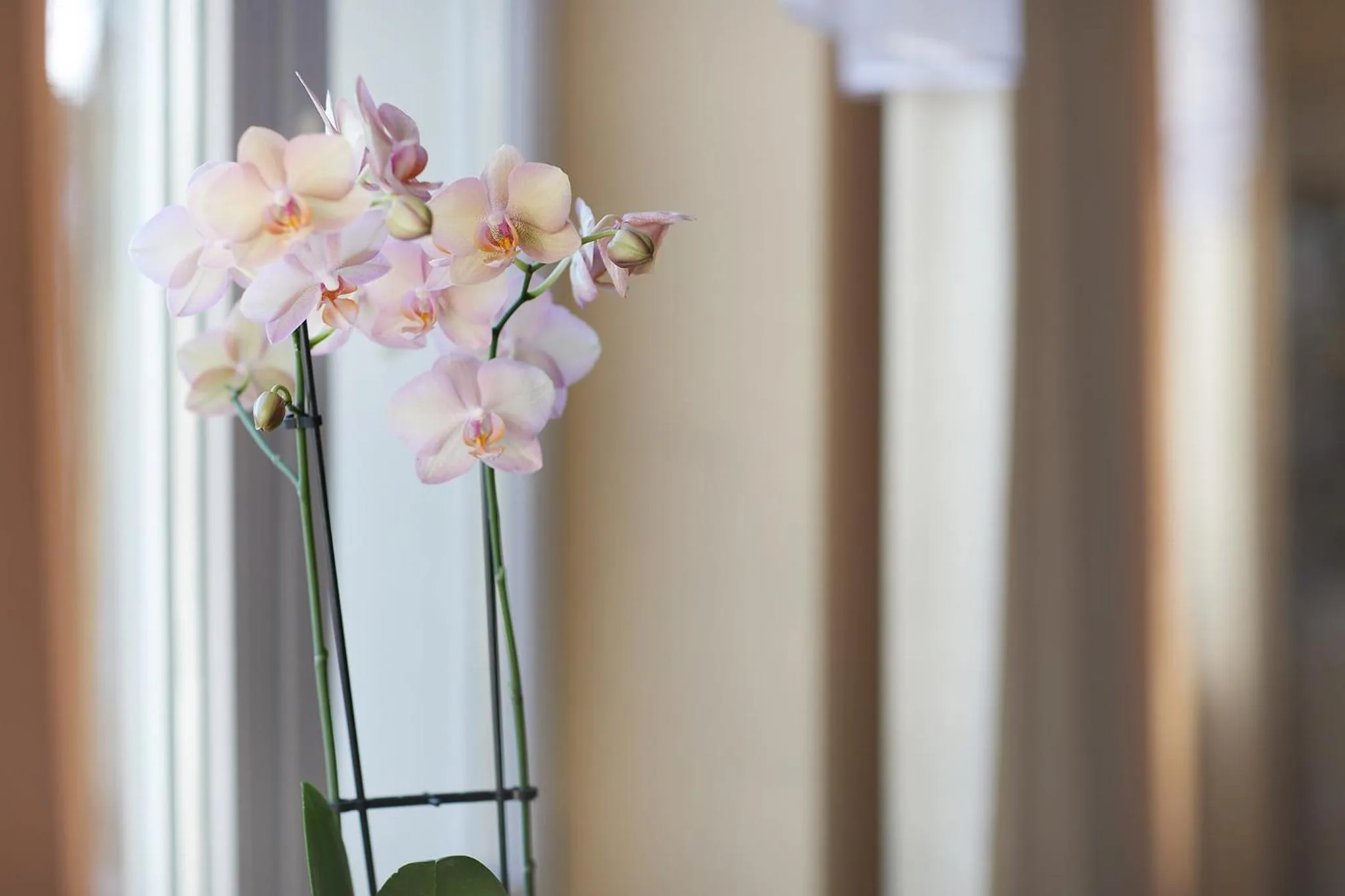 Decorative detail in Hotel Włókniarz