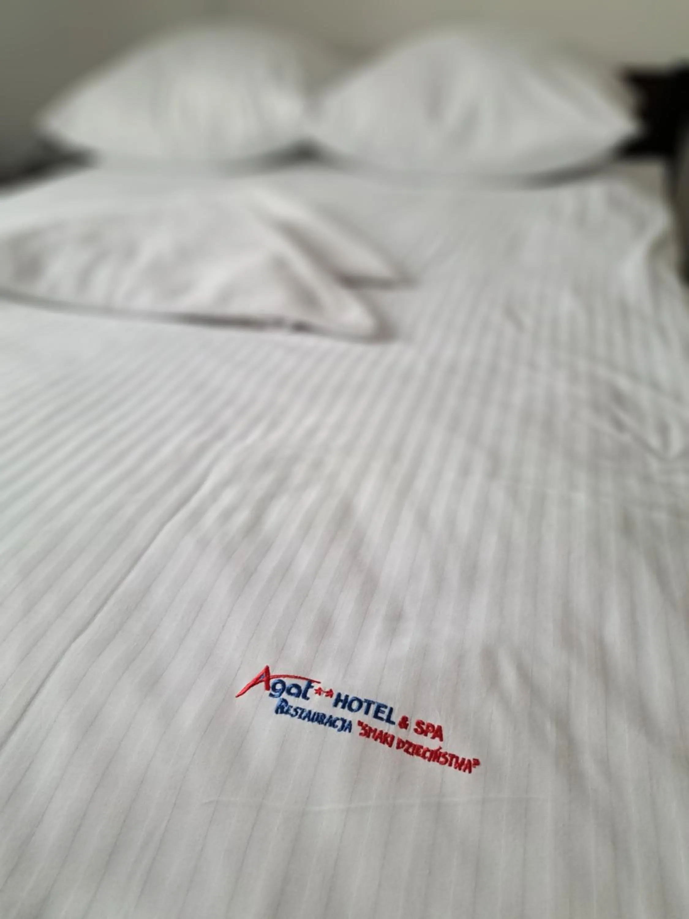 Property logo or sign, Bed in Hotel Agat & SPA