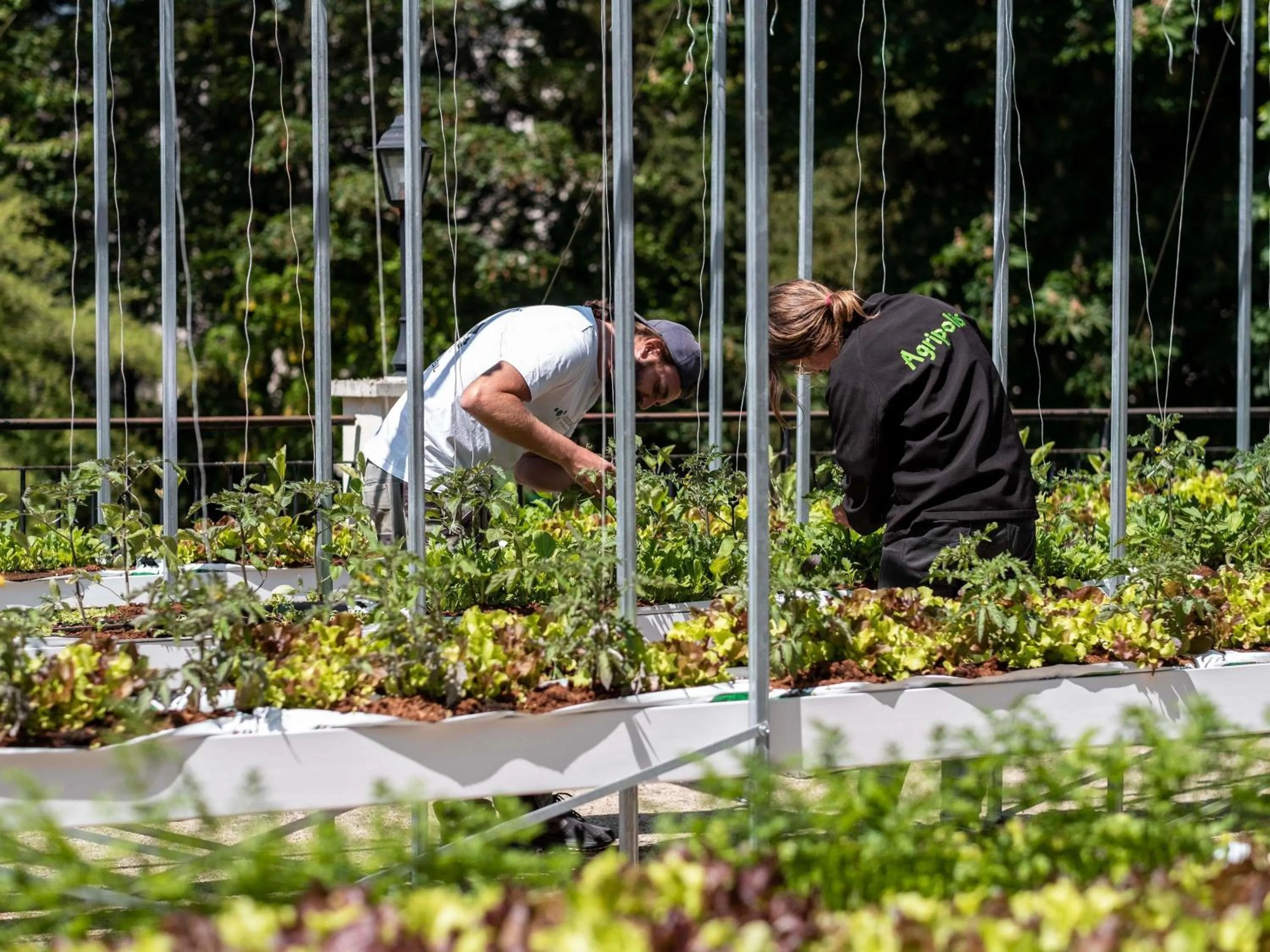 Restaurant/places to eat in Mercure Paris Ouest Saint Germain