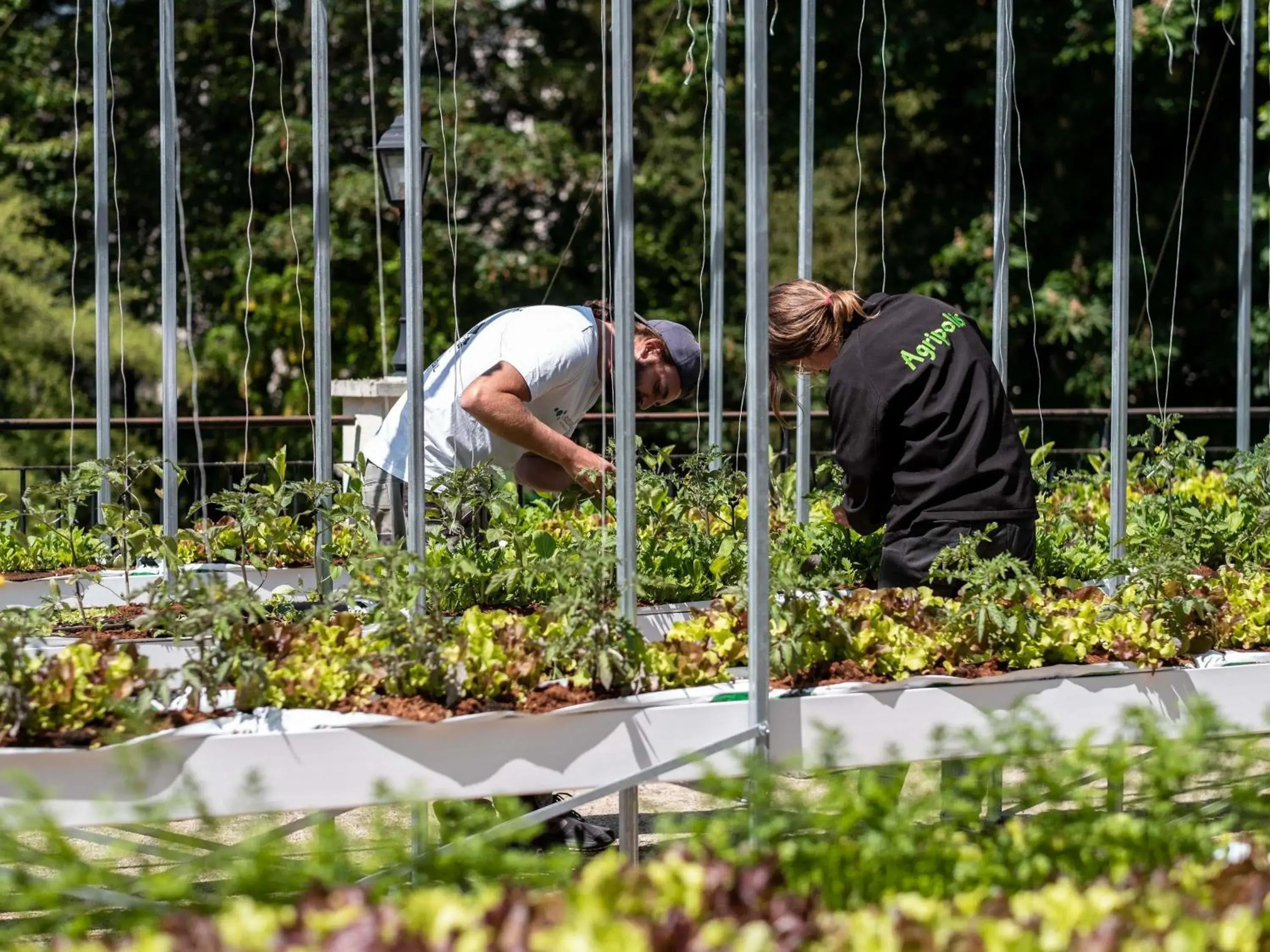 Restaurant/places to eat in Mercure Paris Ouest Saint Germain Restaurant/places to eat in Mercure Paris Ouest Saint Germain