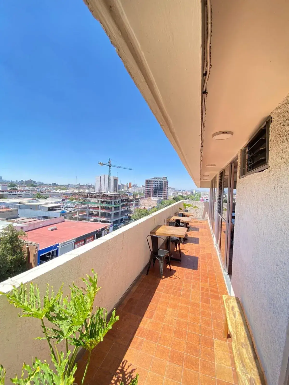 Restaurant/places to eat in Hotel Flamingos Restaurant/places to eat in Hotel Flamingos