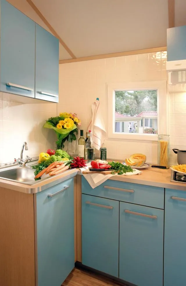 Kitchen or kitchenette in New Camping Le Tamerici
