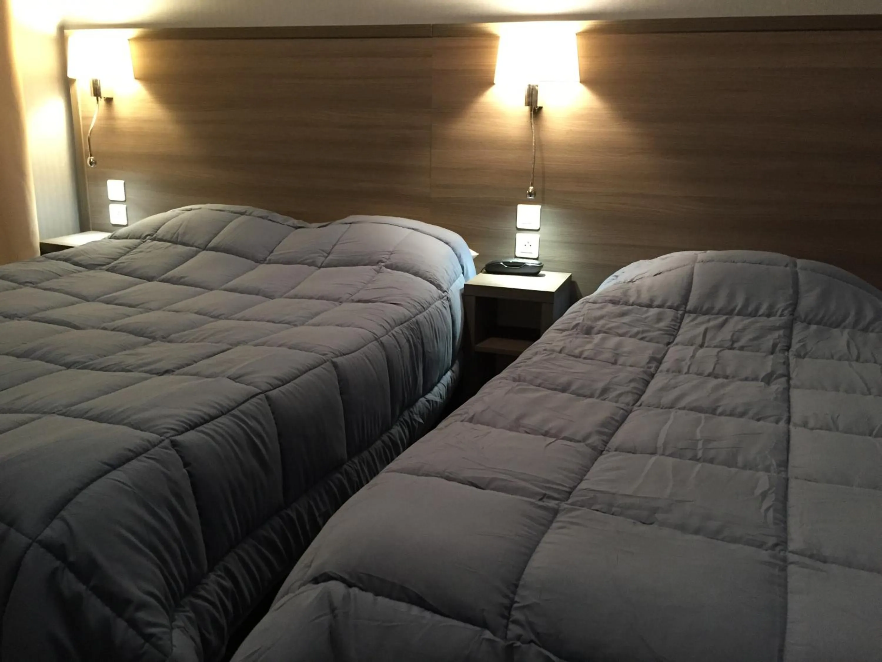 Decorative detail, Bed in Hôtel de L'Avenue