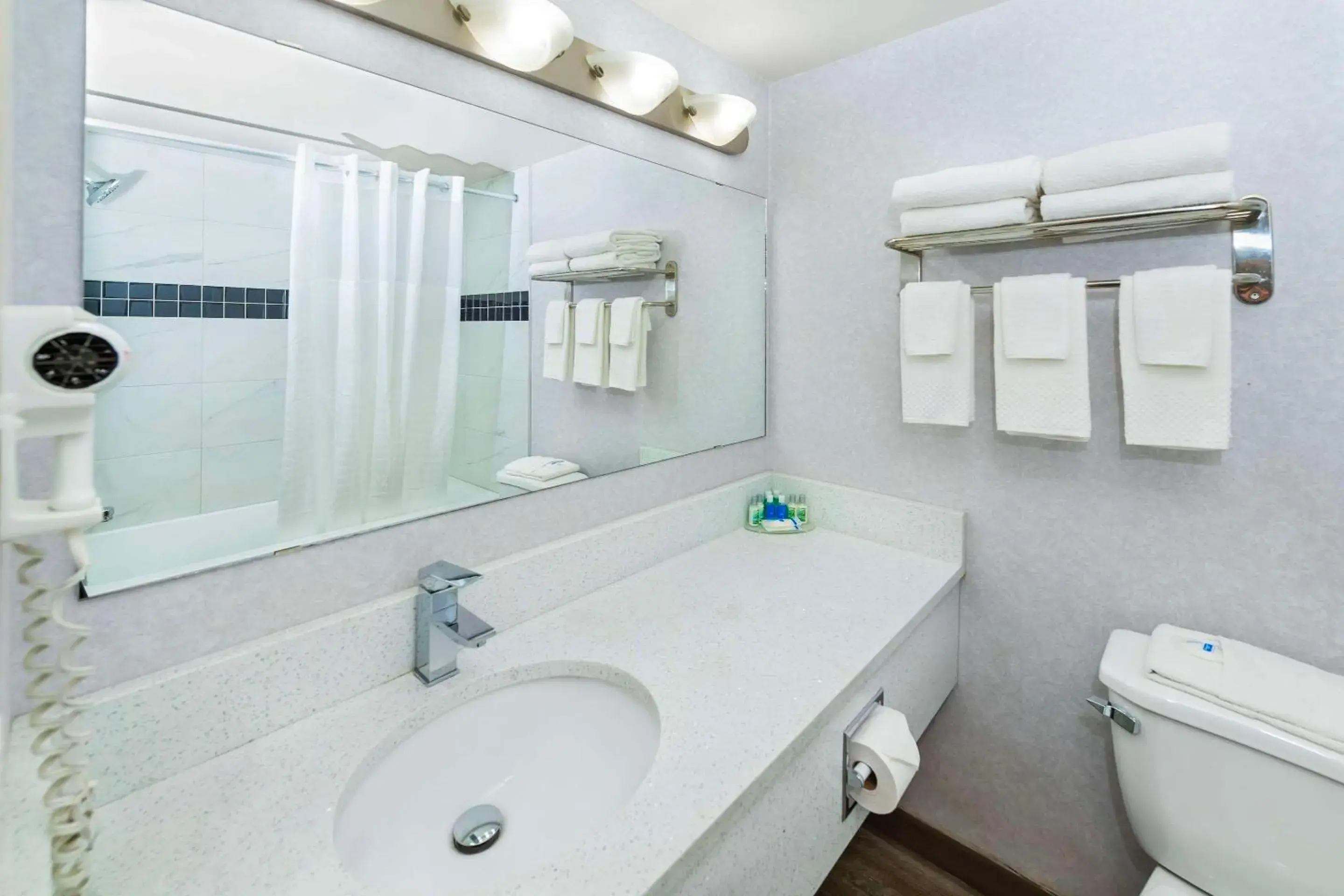 Bedroom in Rodeway Inn Bedroom in Rodeway Inn