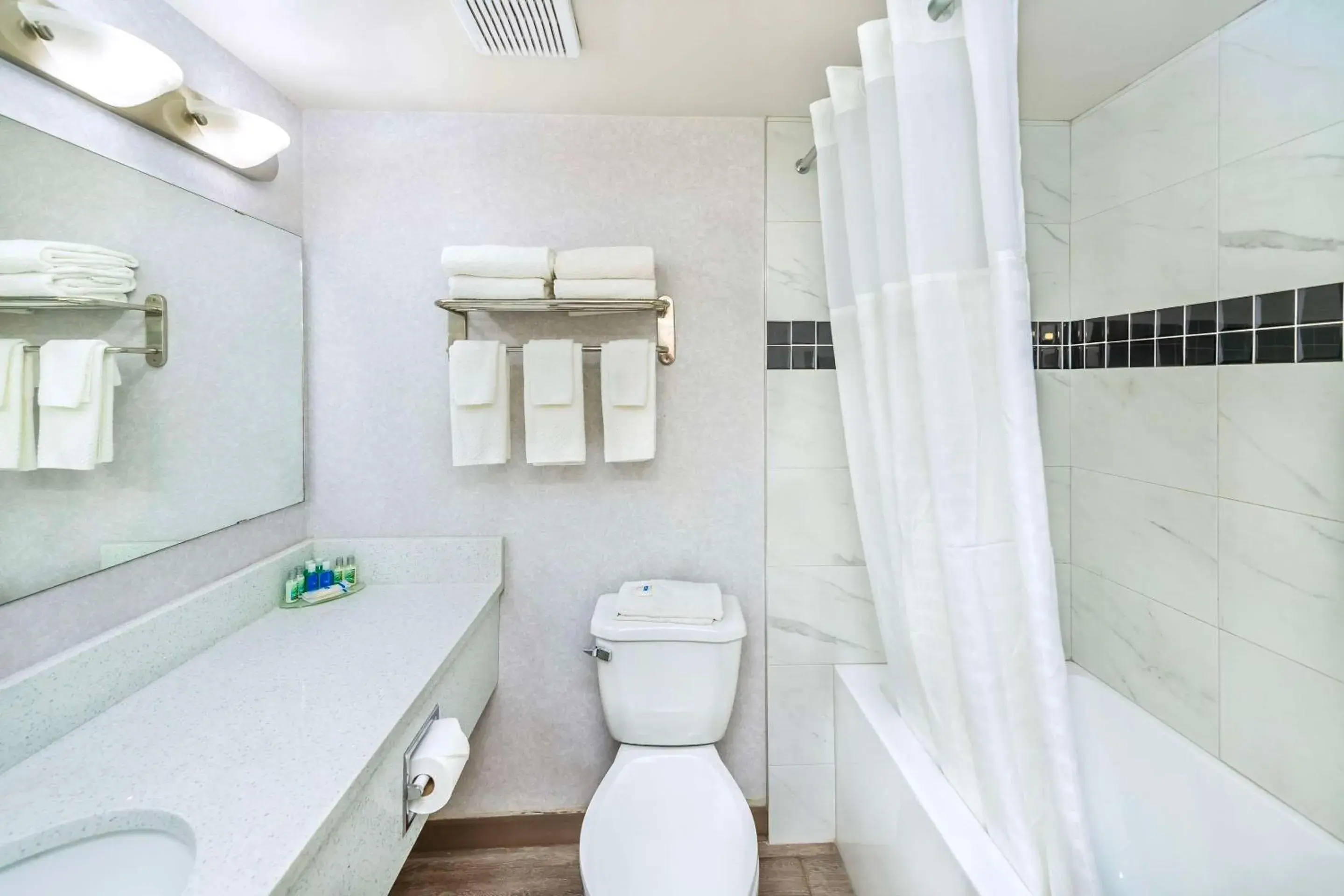 Bedroom in Rodeway Inn Bedroom in Rodeway Inn