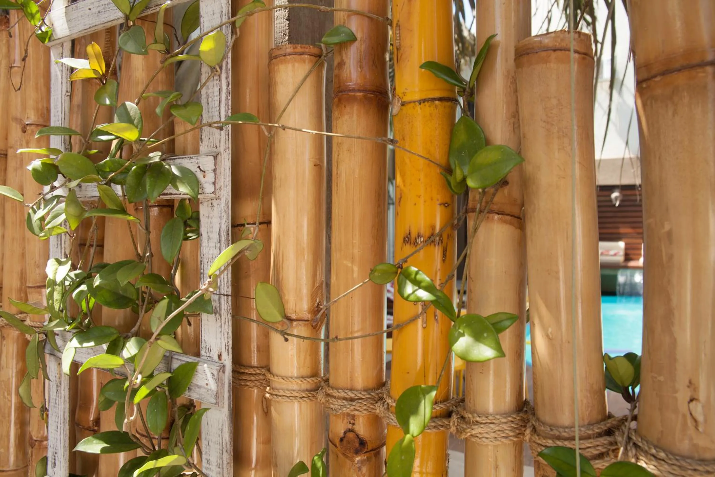 Patio in Hotel Holiday Foz