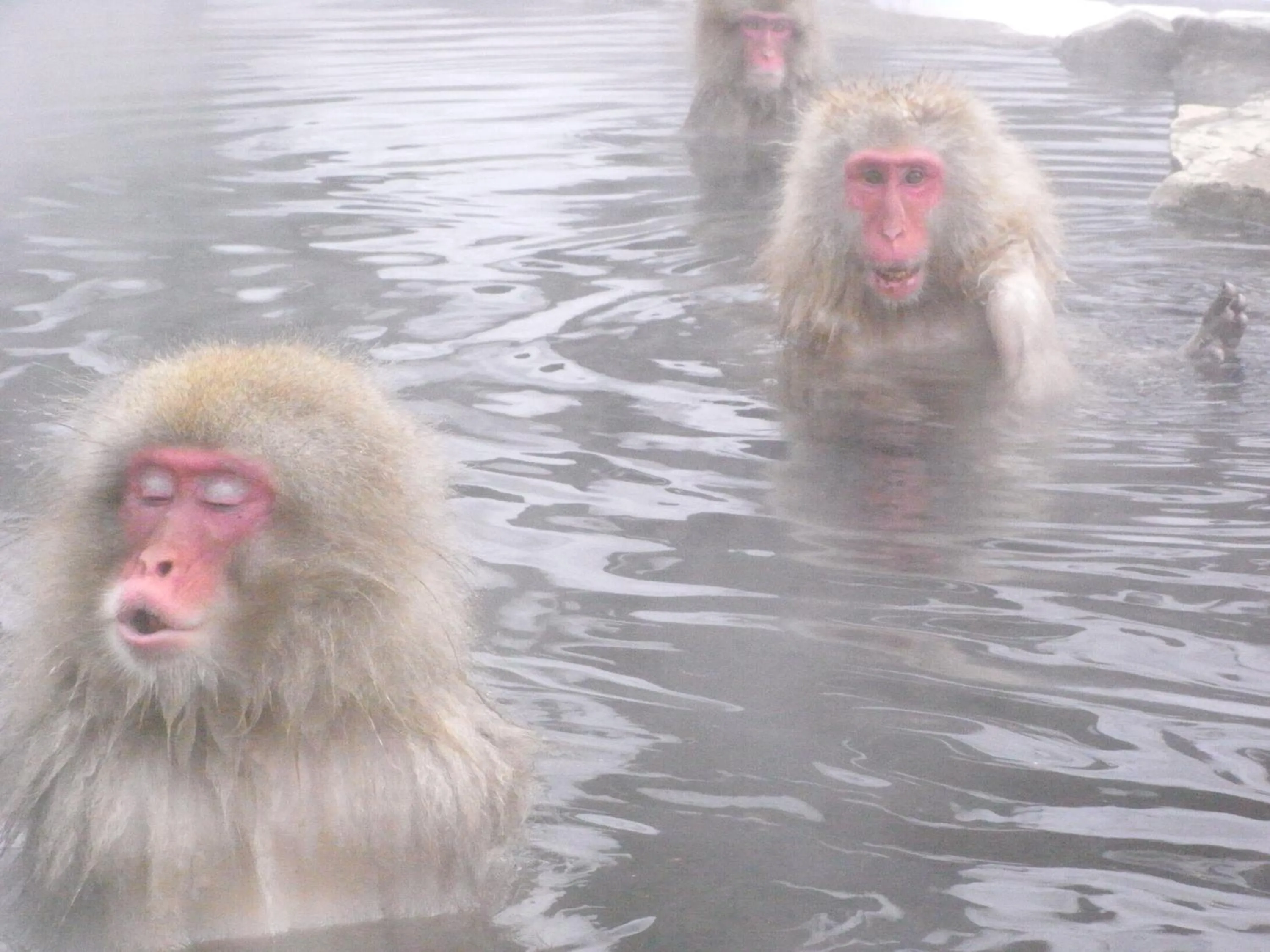Nearby landmark in Kamei no Yu