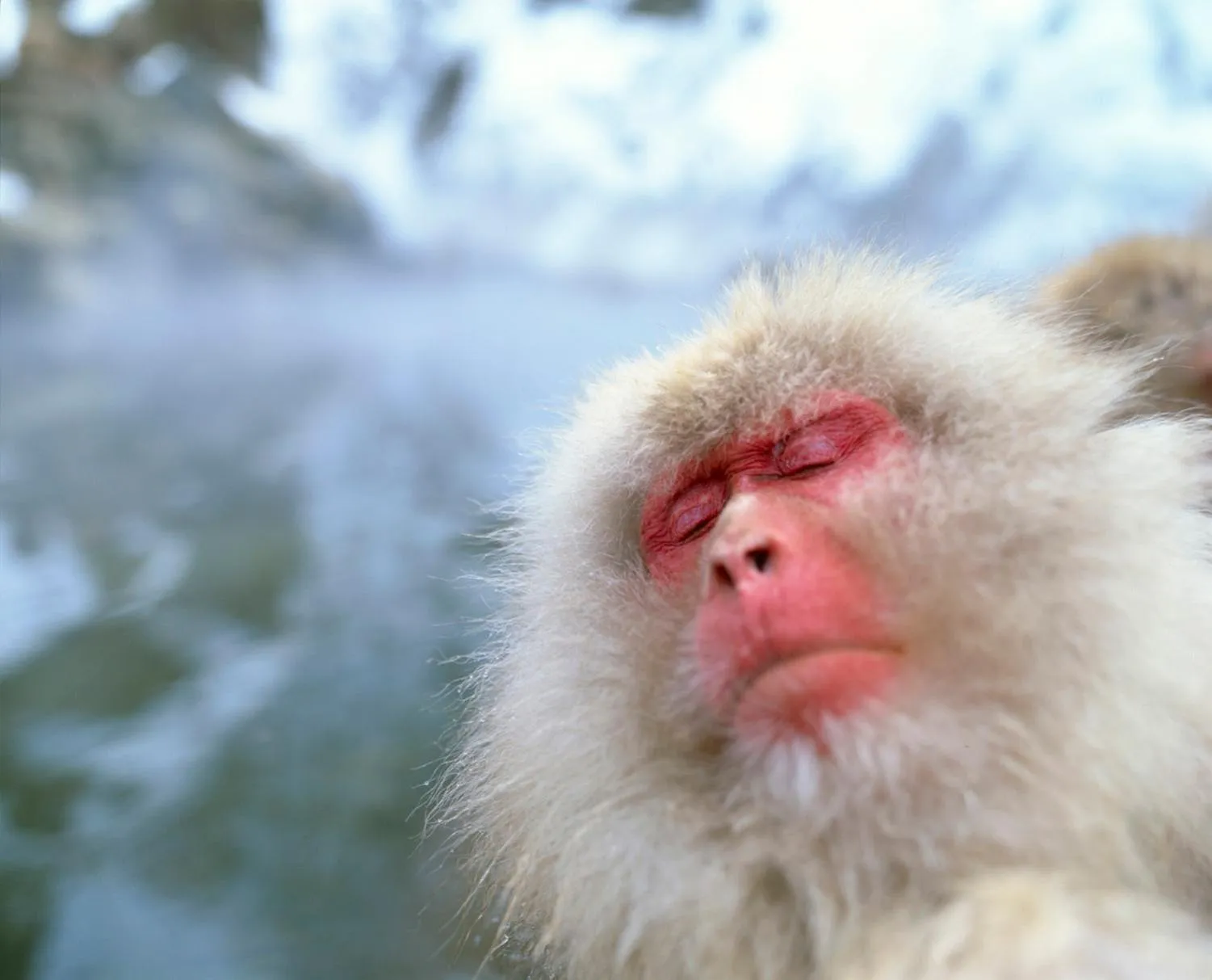 Nearby landmark in Kamei no Yu