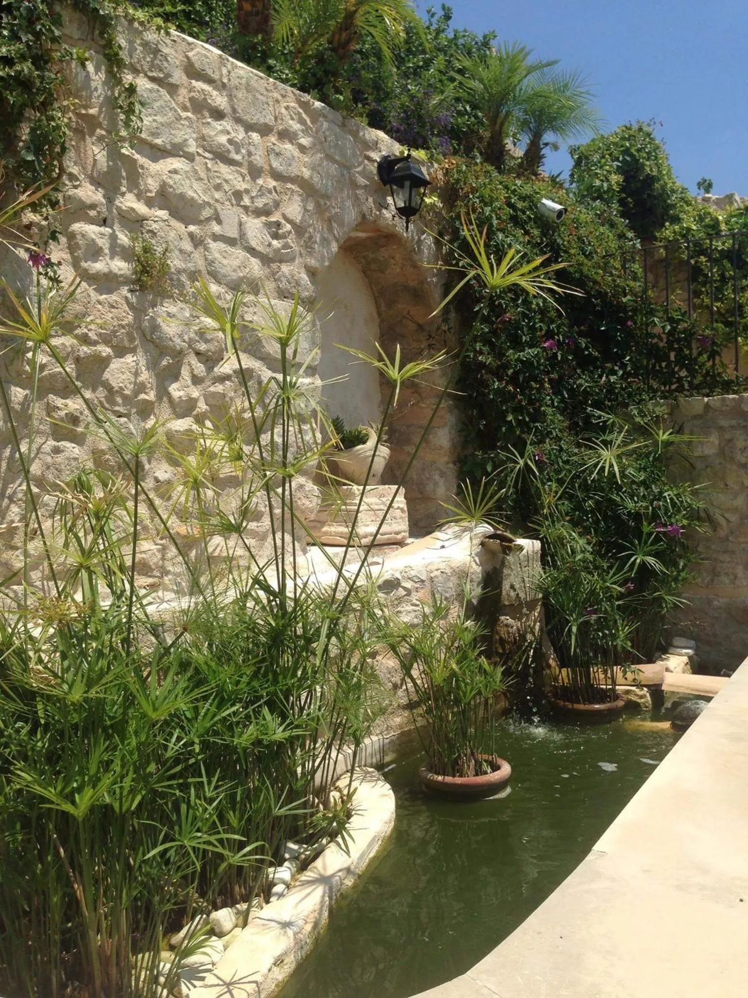 Garden in Borgo Hedone