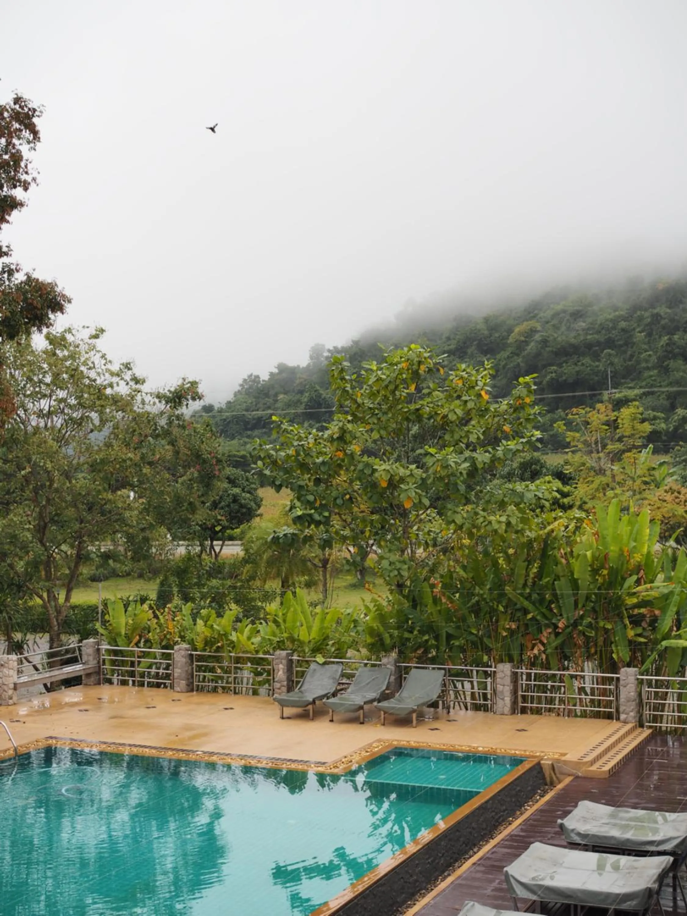 Pool view in Yura Kiri Resort Khao Yai