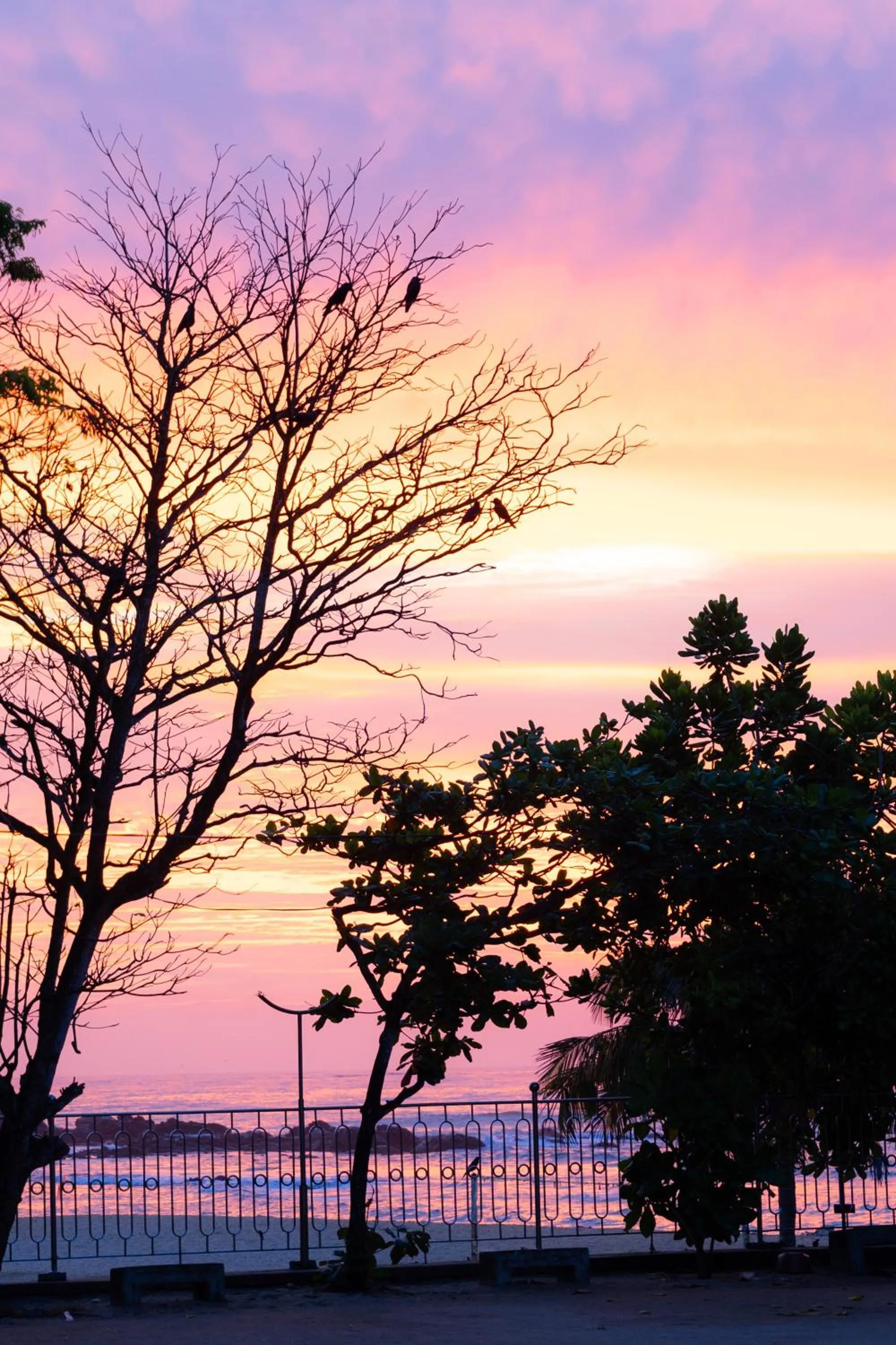 Tangalle Rest House
