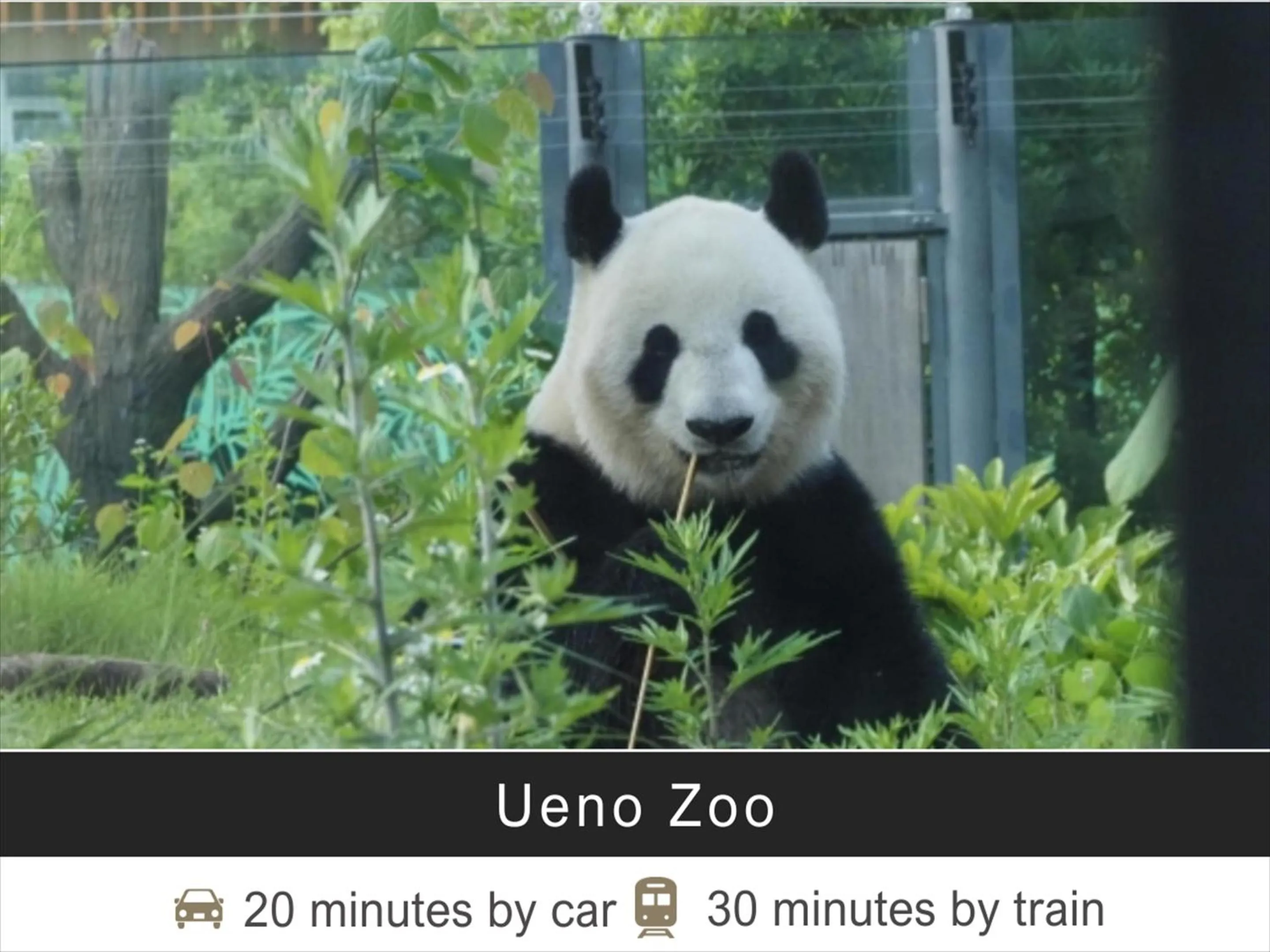 Nearby landmark in Tokyu Stay Monzen-Nakacho Tokyo