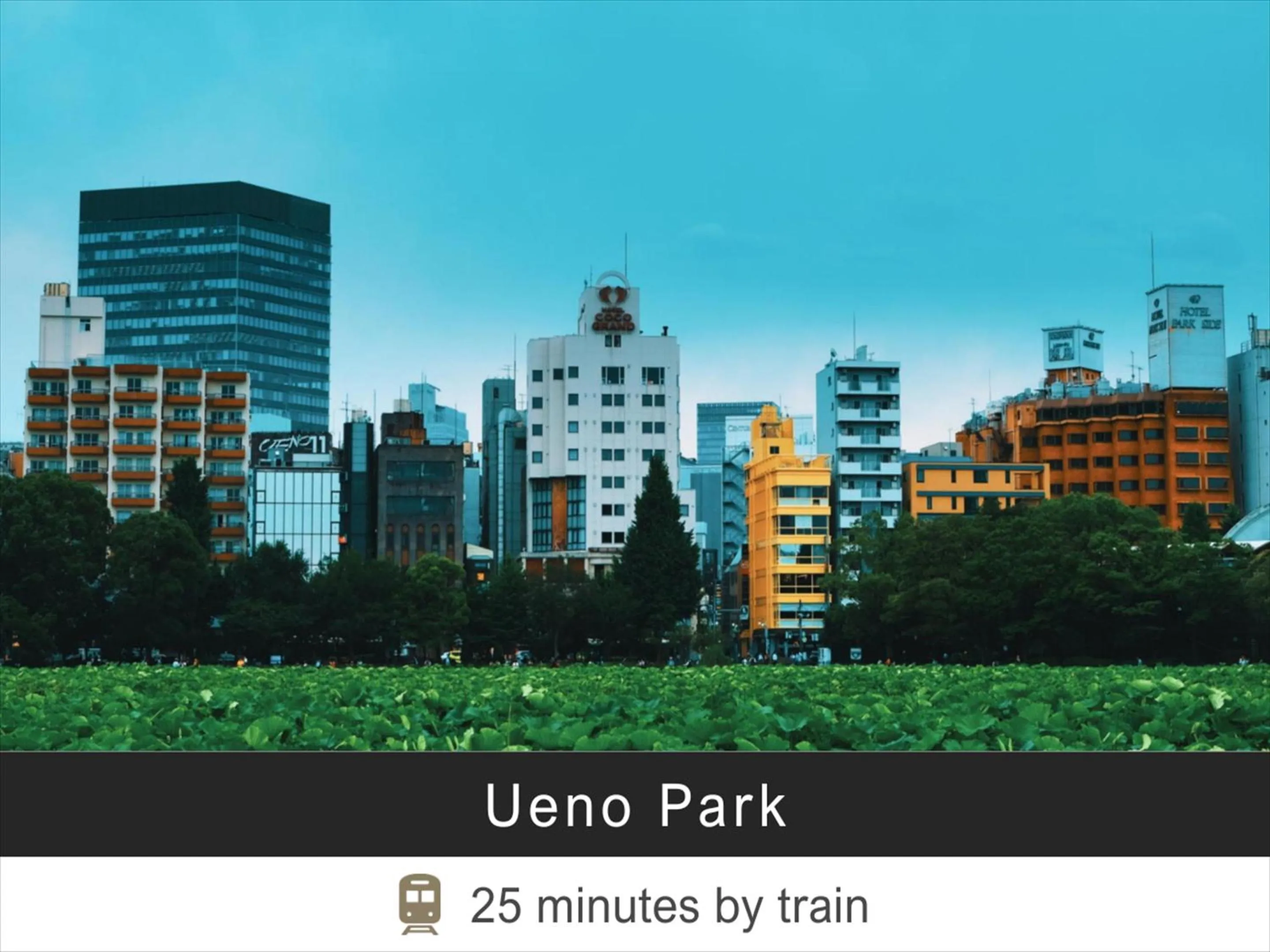 Nearby landmark in Tokyu Stay Monzen-Nakacho Tokyo