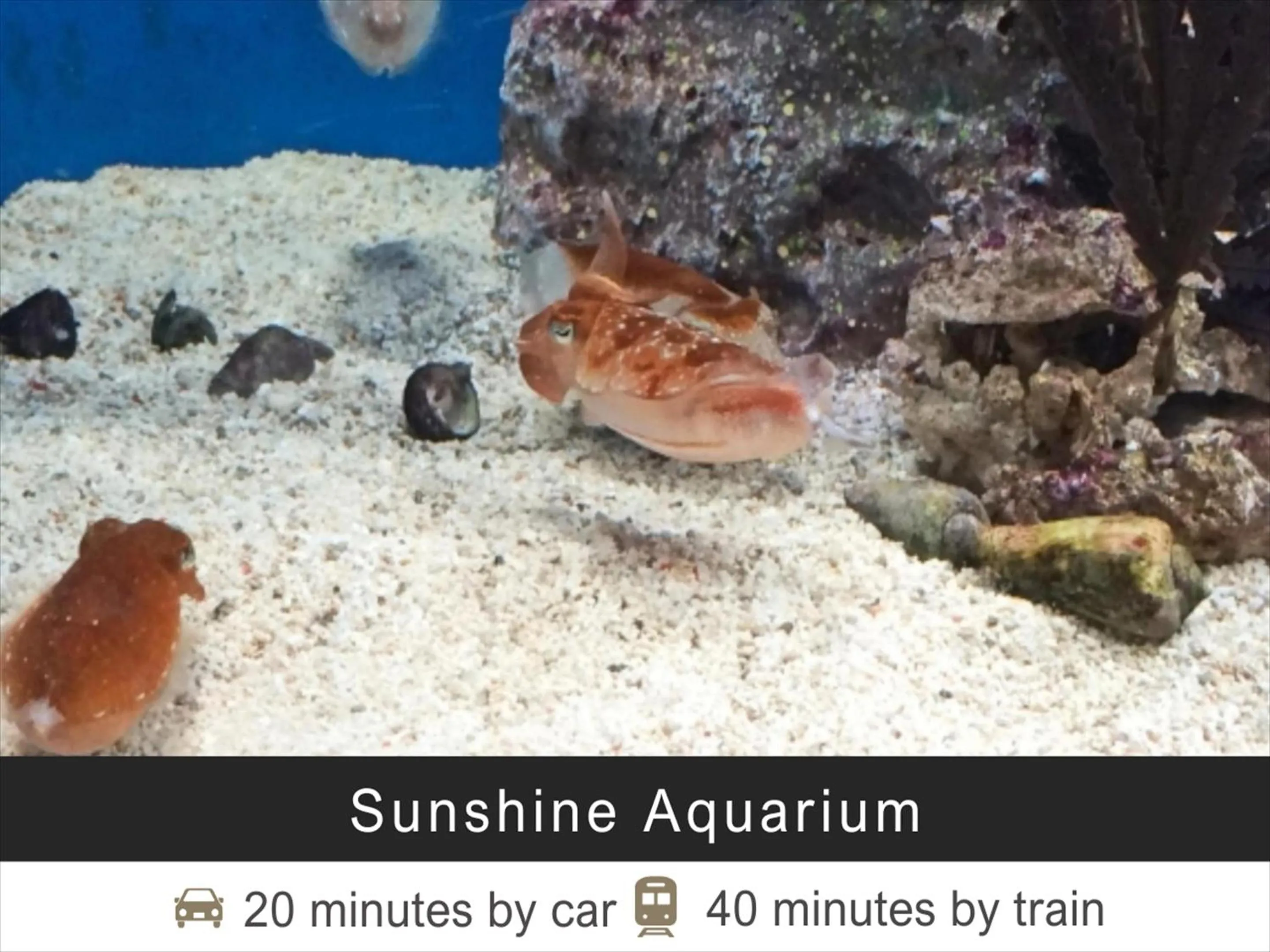 Nearby landmark in Tokyu Stay Monzen-Nakacho Tokyo