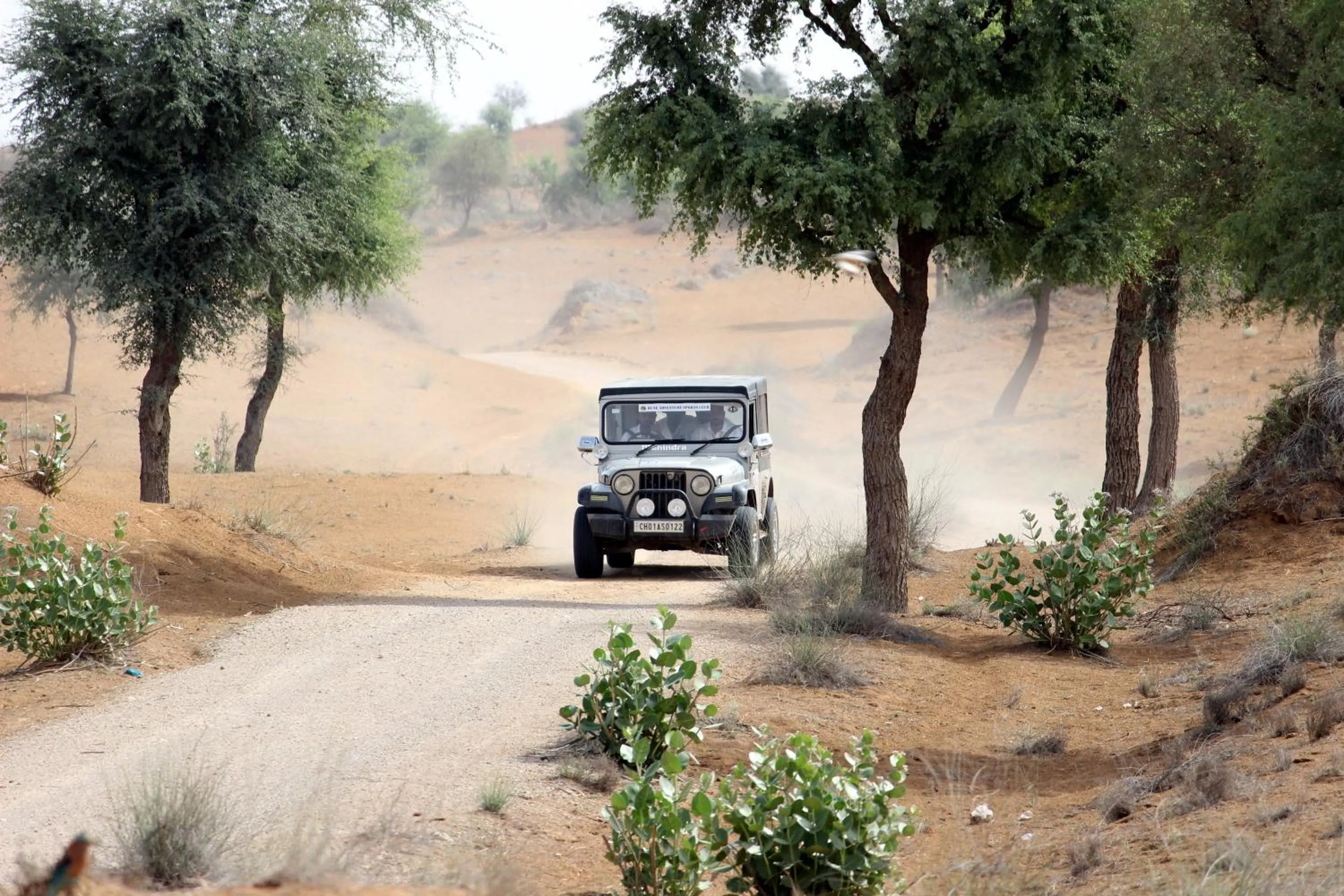 Activities in Malji Ka Kamra