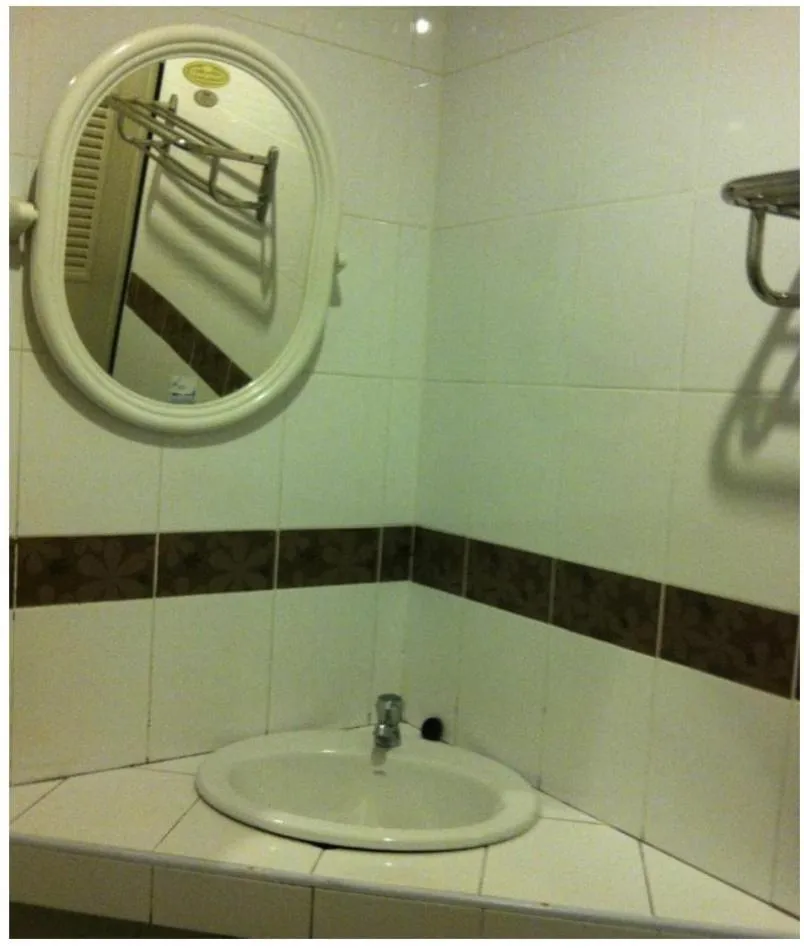 Toilet in Orchid Place