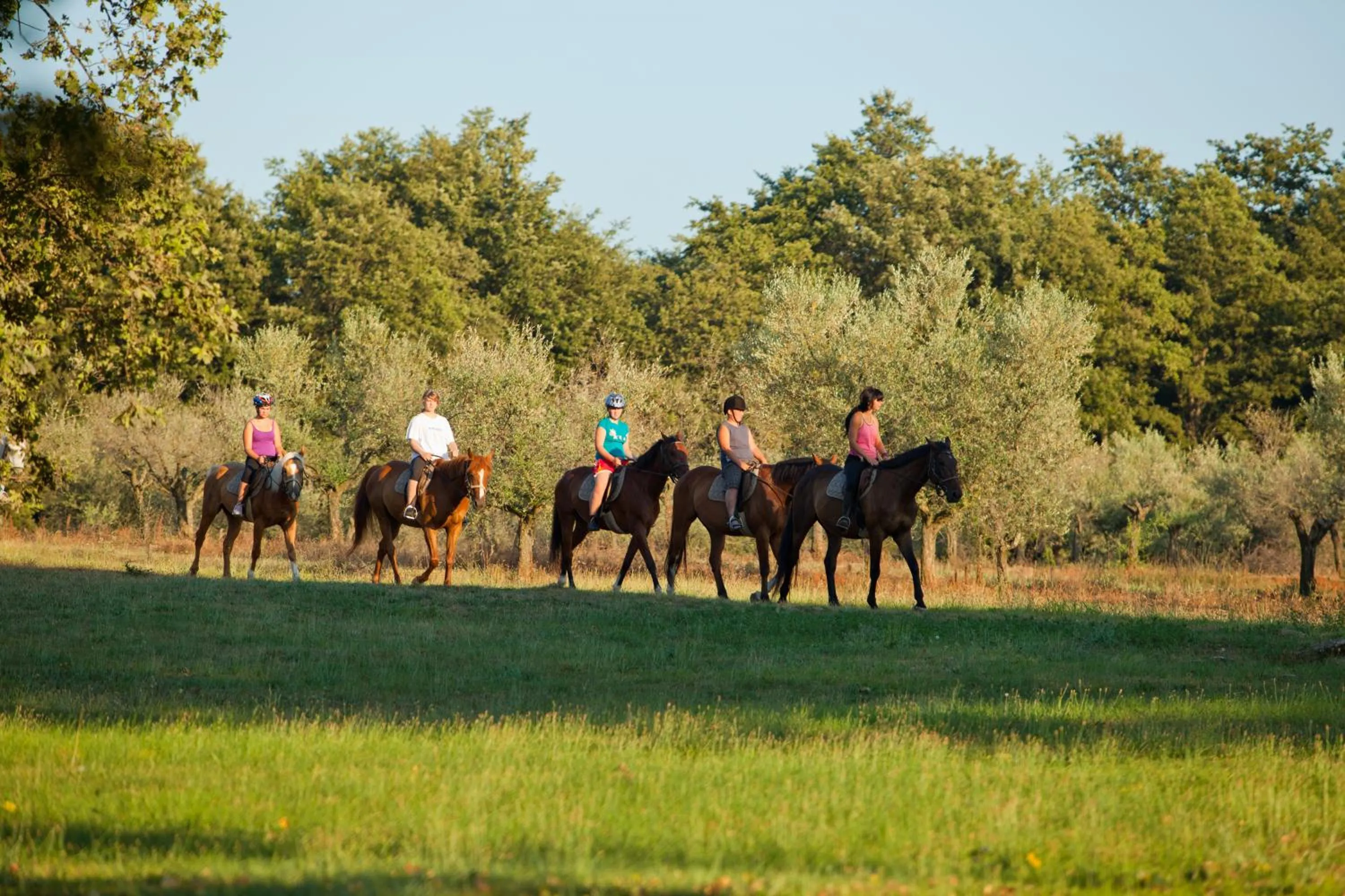 Horse-riding in Hotel Parentium Plava Laguna