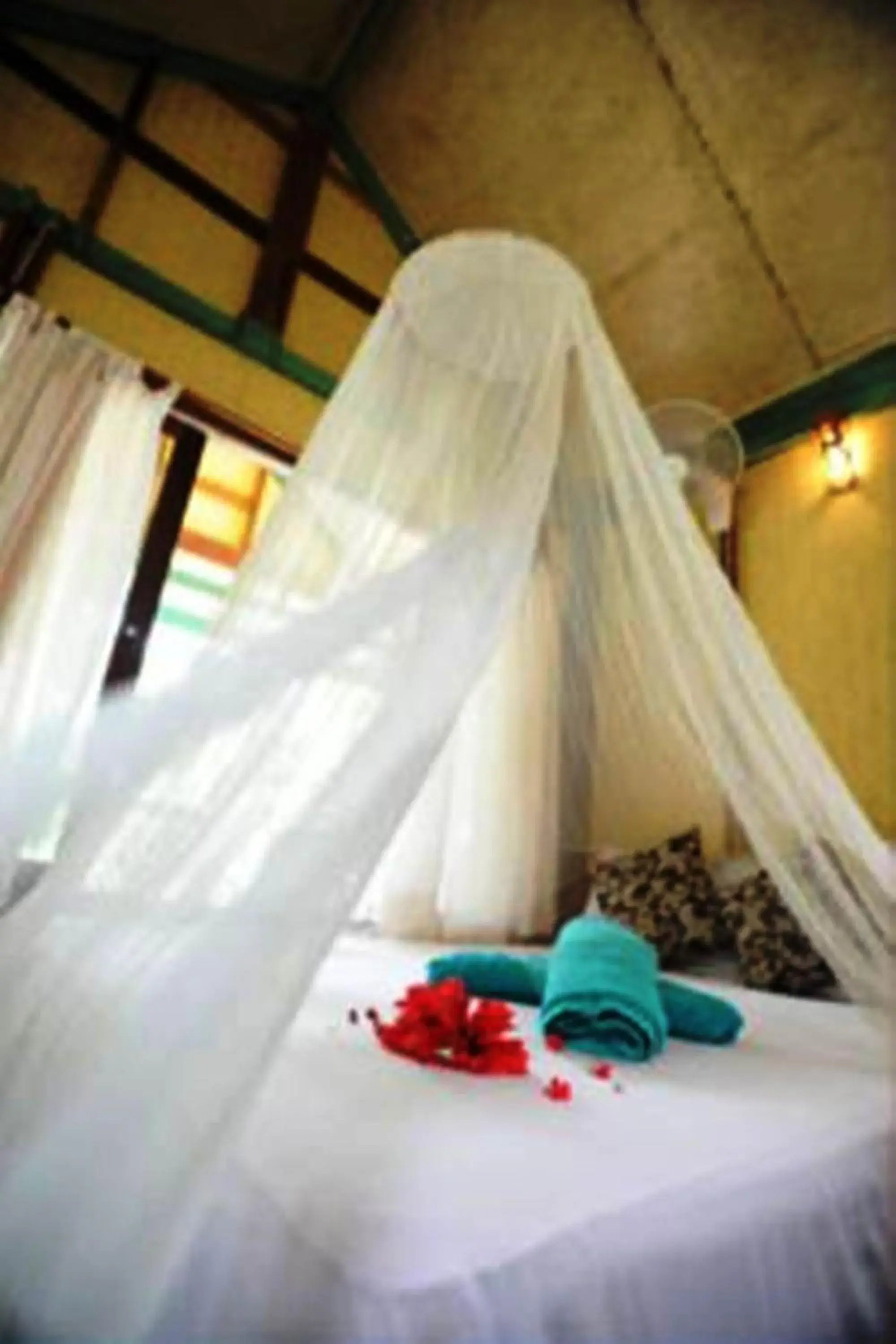 Bed in Smile Bungalow Bottle Beach Bed in Smile Bungalow Bottle Beach