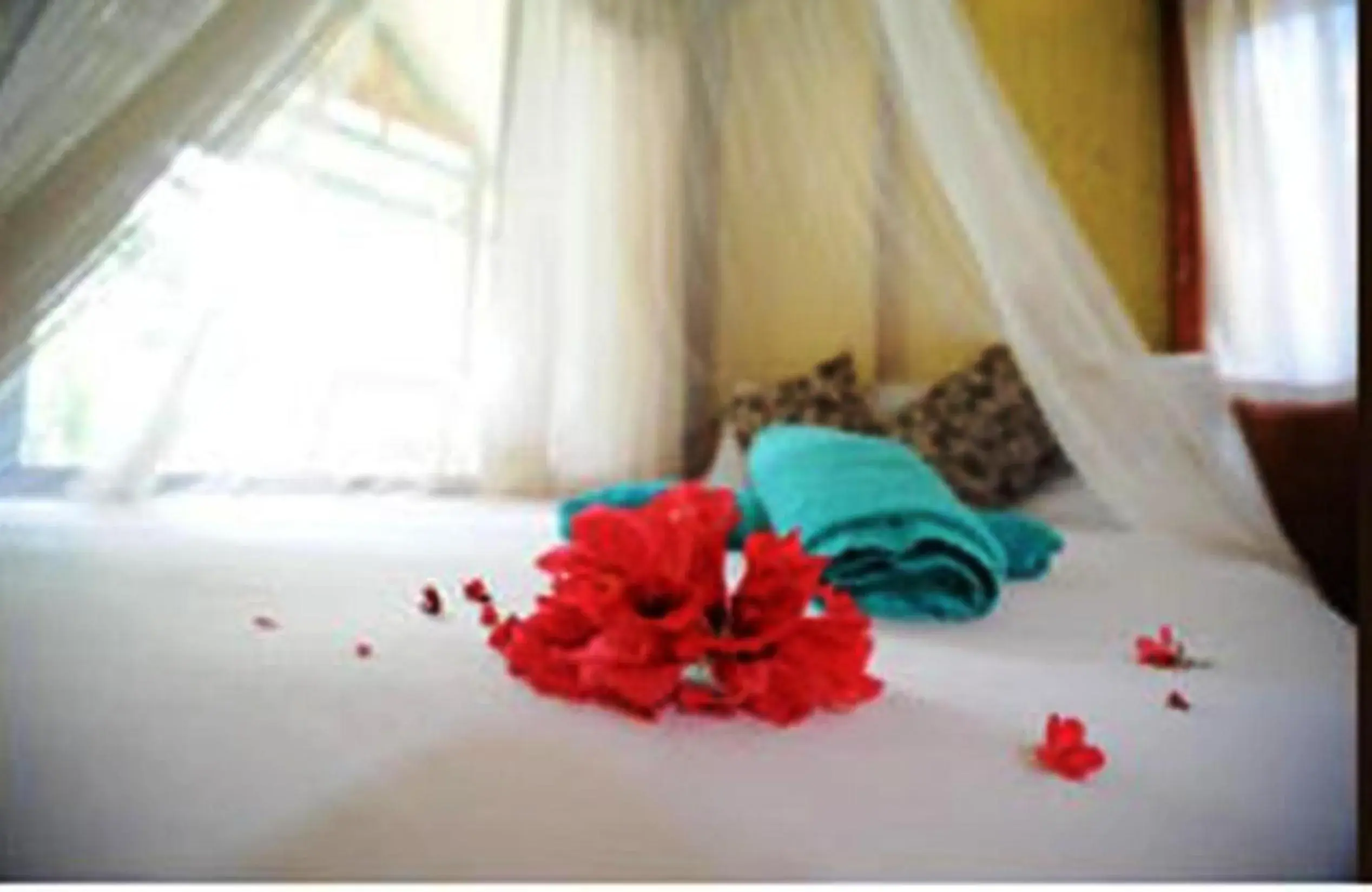 Bed in Smile Bungalow Bottle Beach Bed in Smile Bungalow Bottle Beach