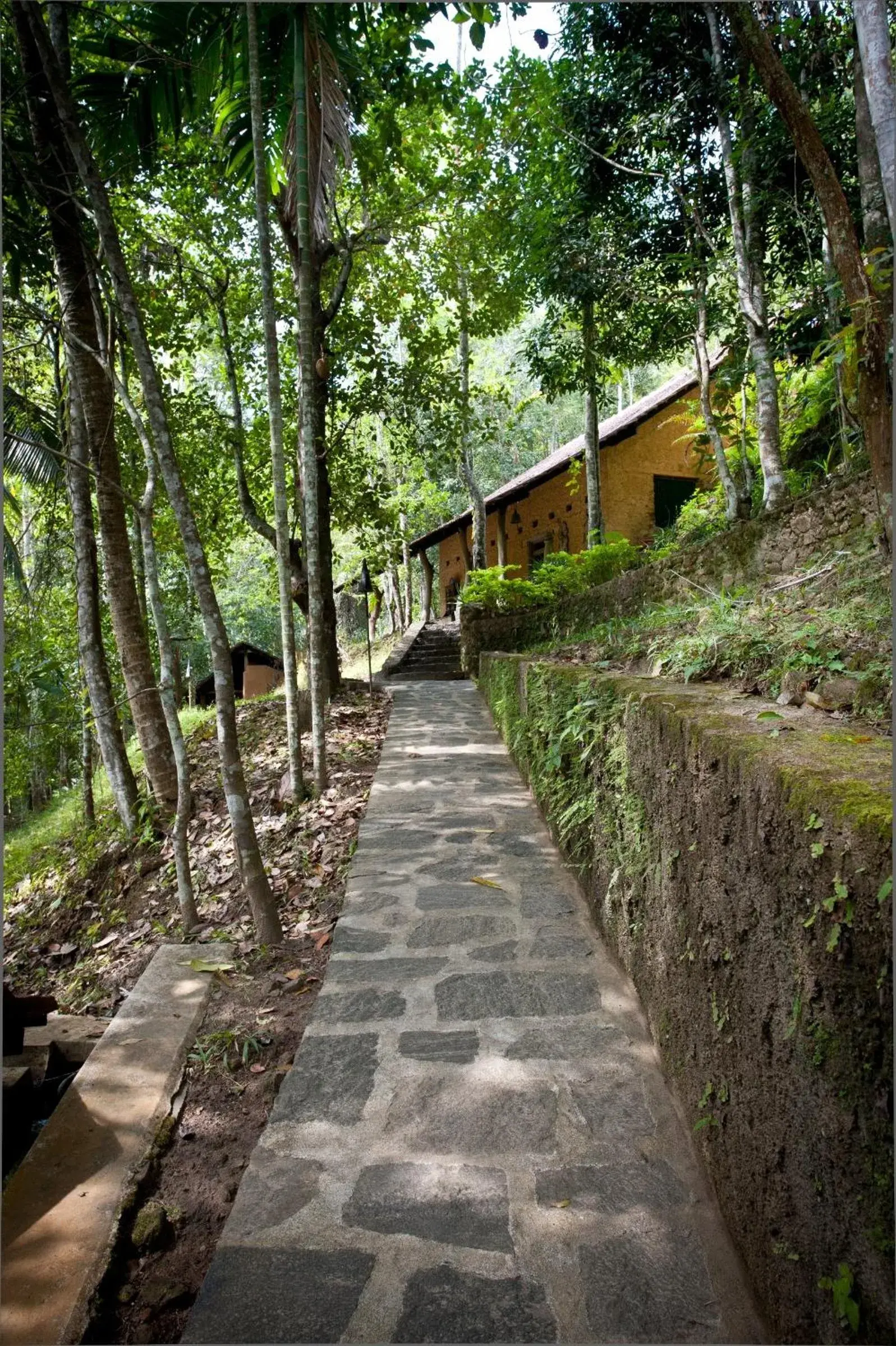 View (from property/room) in The Kandy Samadhicentre View (from property/room) in The Kandy Samadhicentre