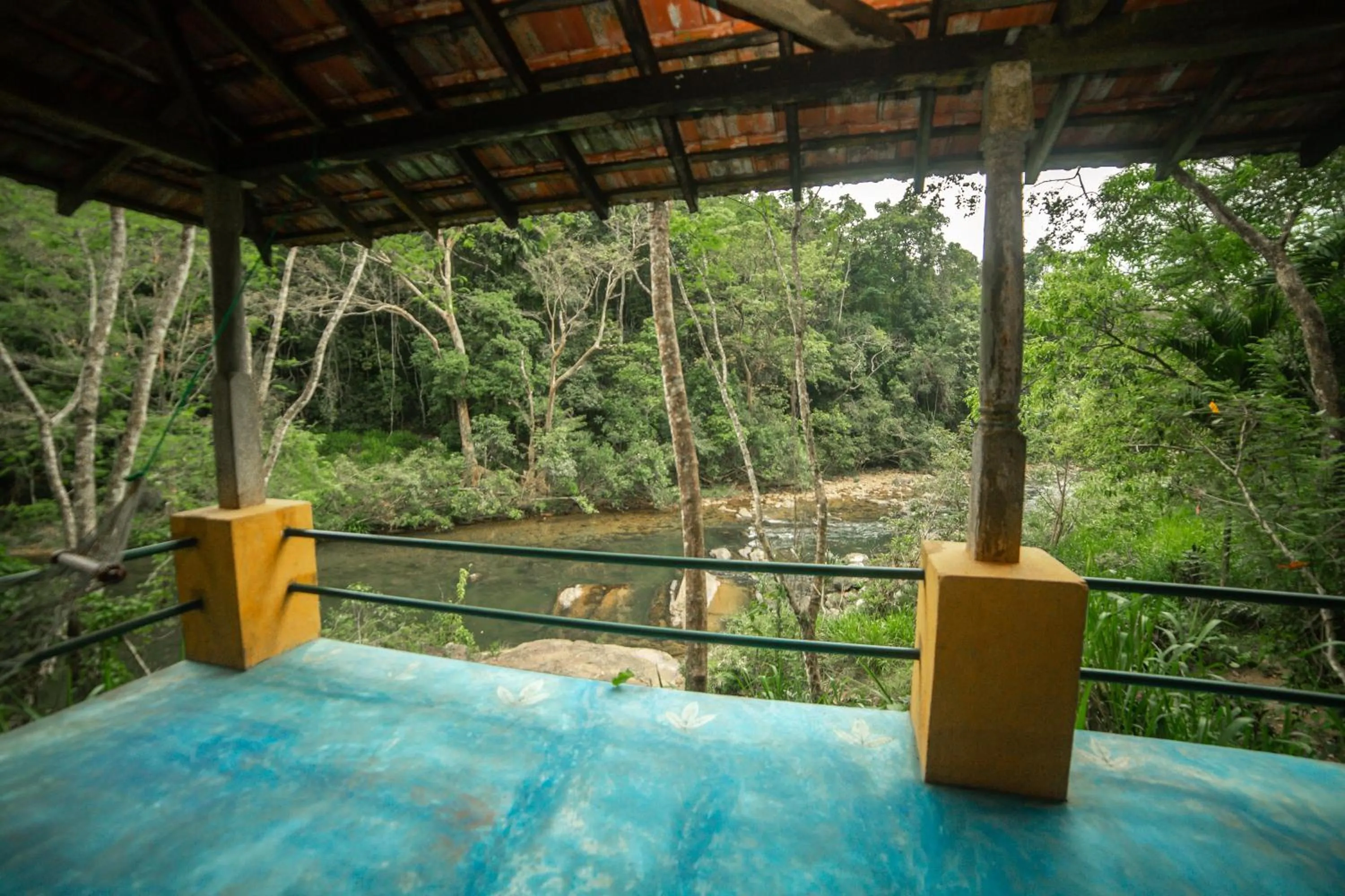 Natural landscape in The Kandy Samadhicentre