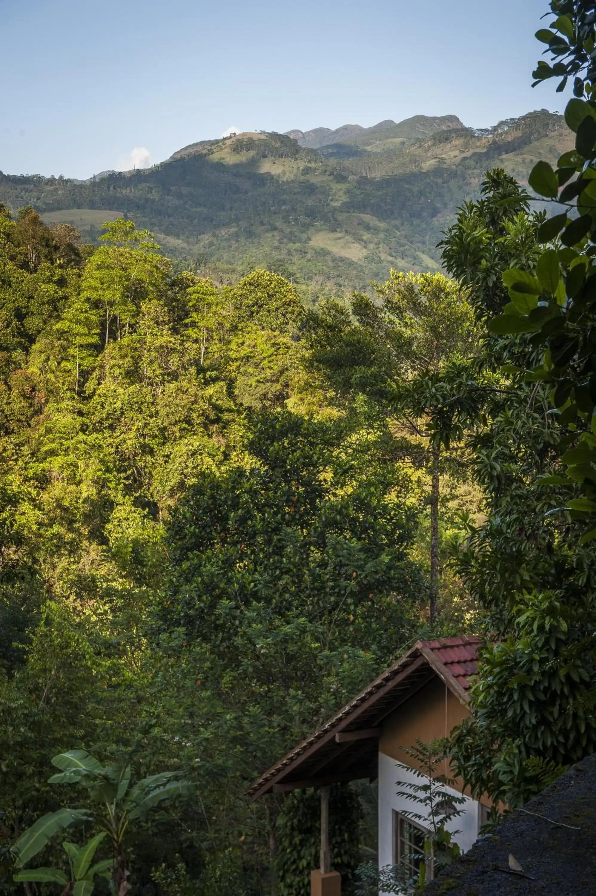 Mountain view in The Kandy Samadhicentre Mountain view in The Kandy Samadhicentre
