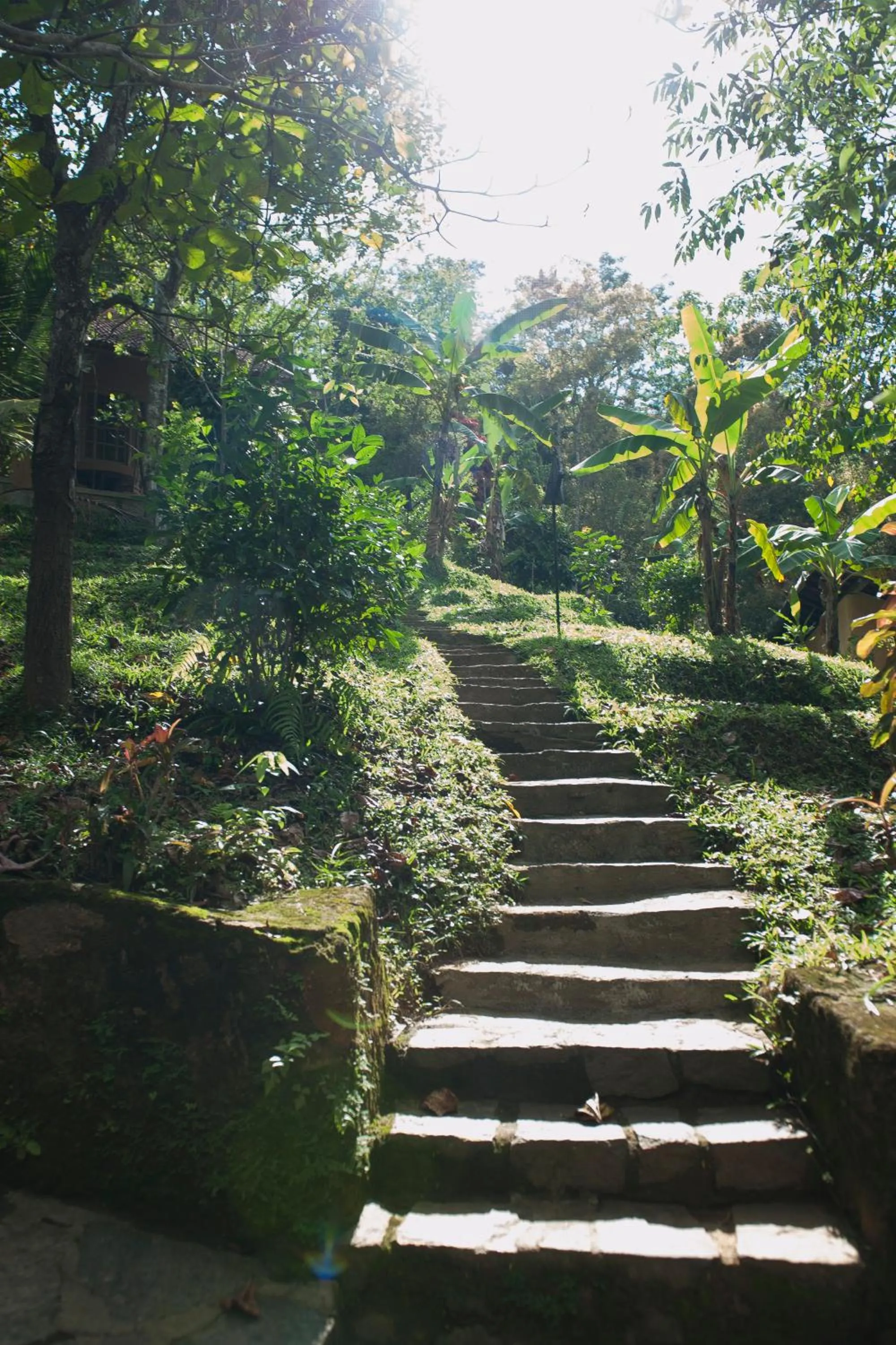 Balcony/Terrace in The Kandy Samadhicentre