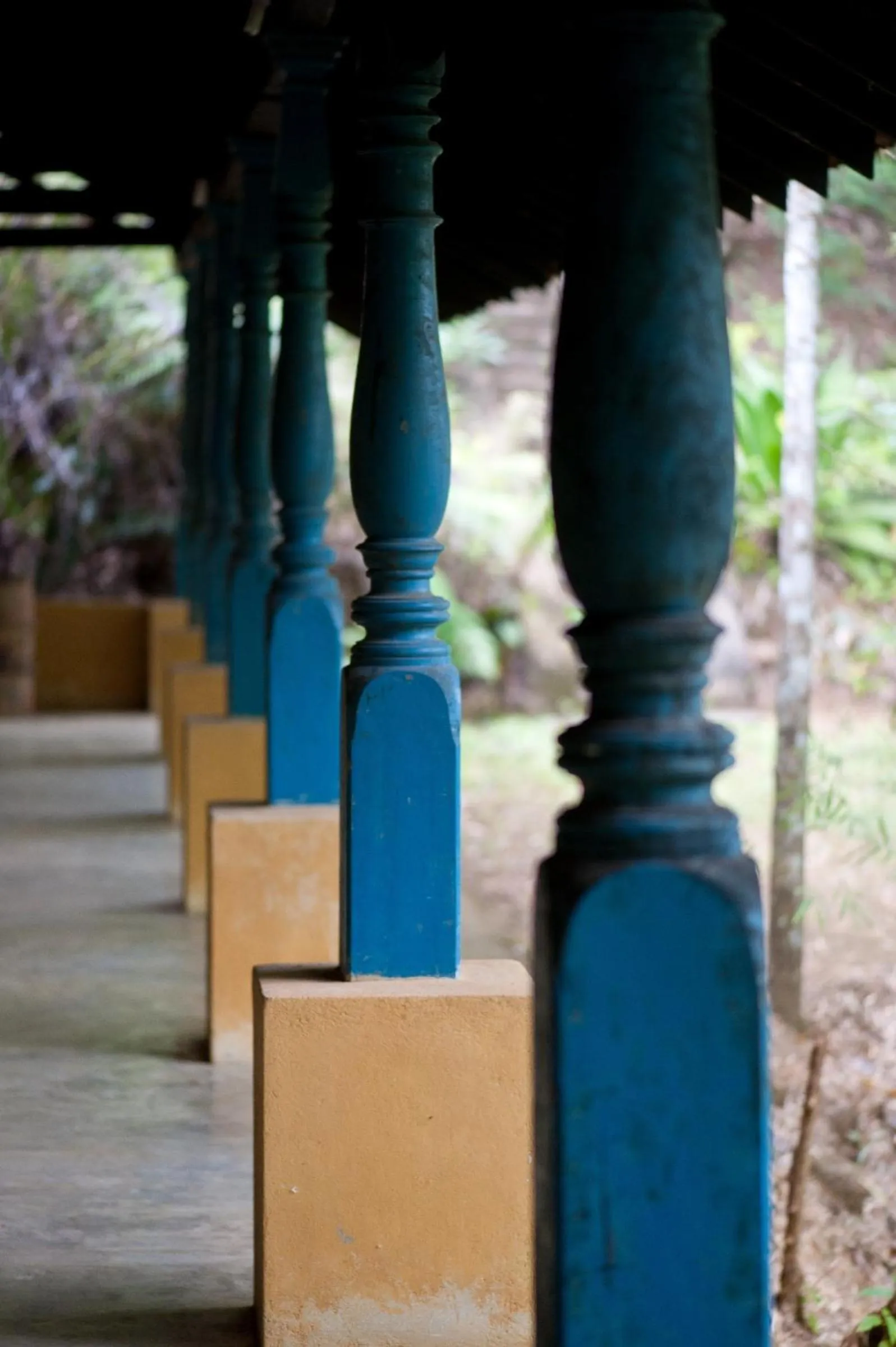 View (from property/room) in The Kandy Samadhicentre