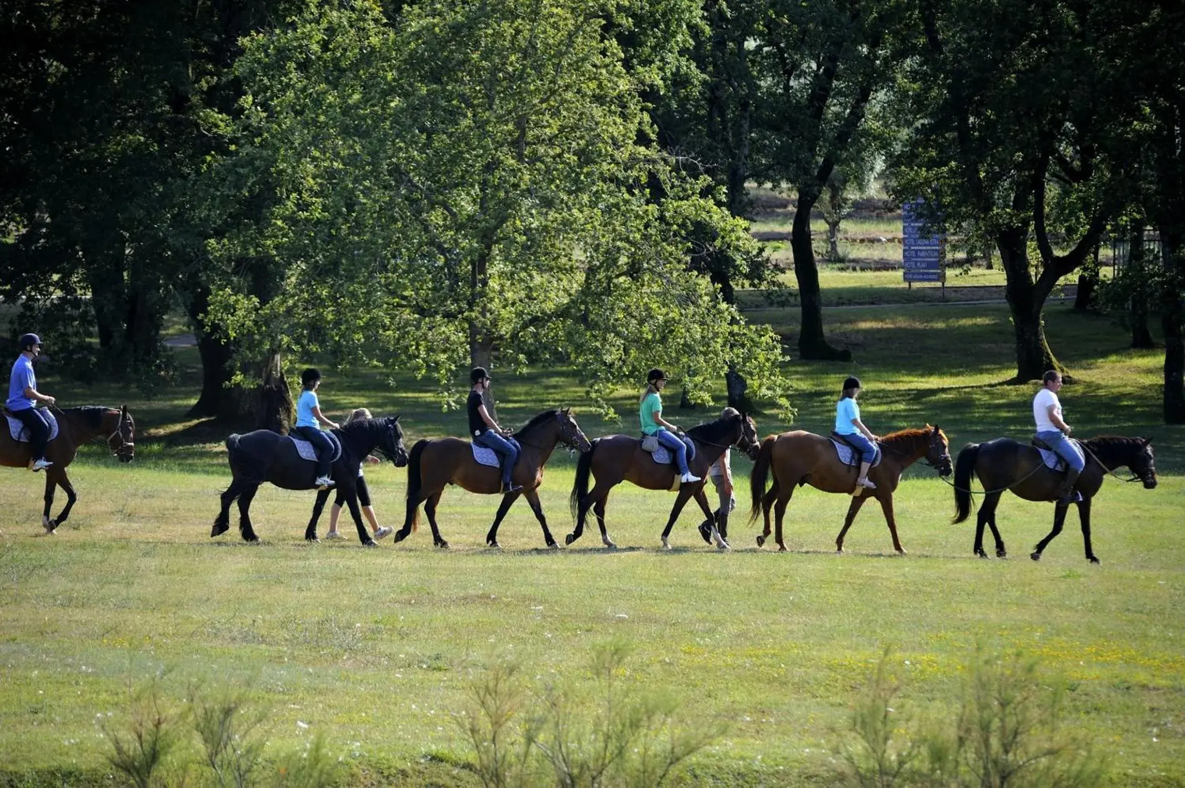 Horse-riding, Horseback Riding in Hotel Plavi Plava Laguna