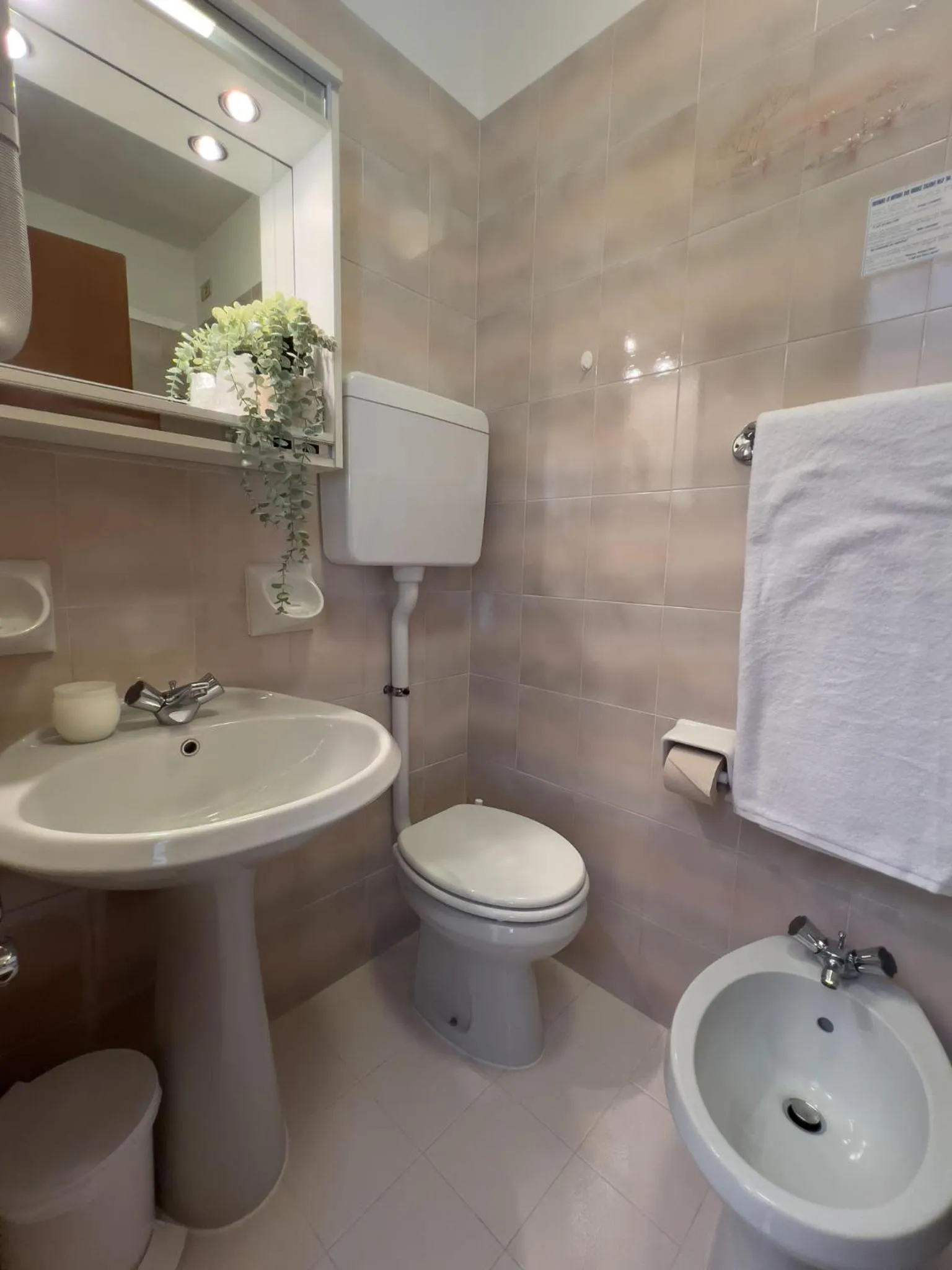 Hotel Benacus Torri del Benaco