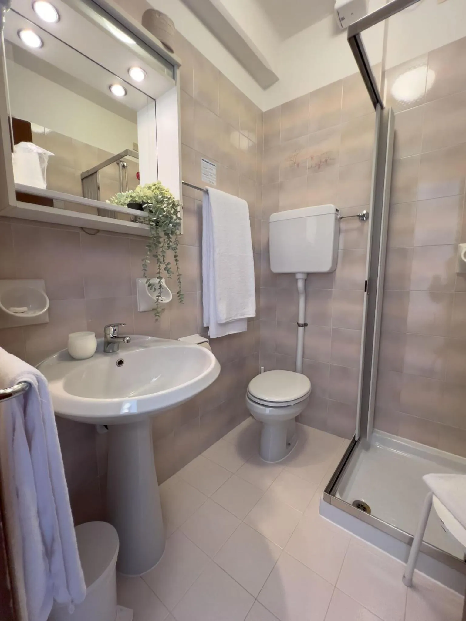 Hotel Benacus Torri del Benaco