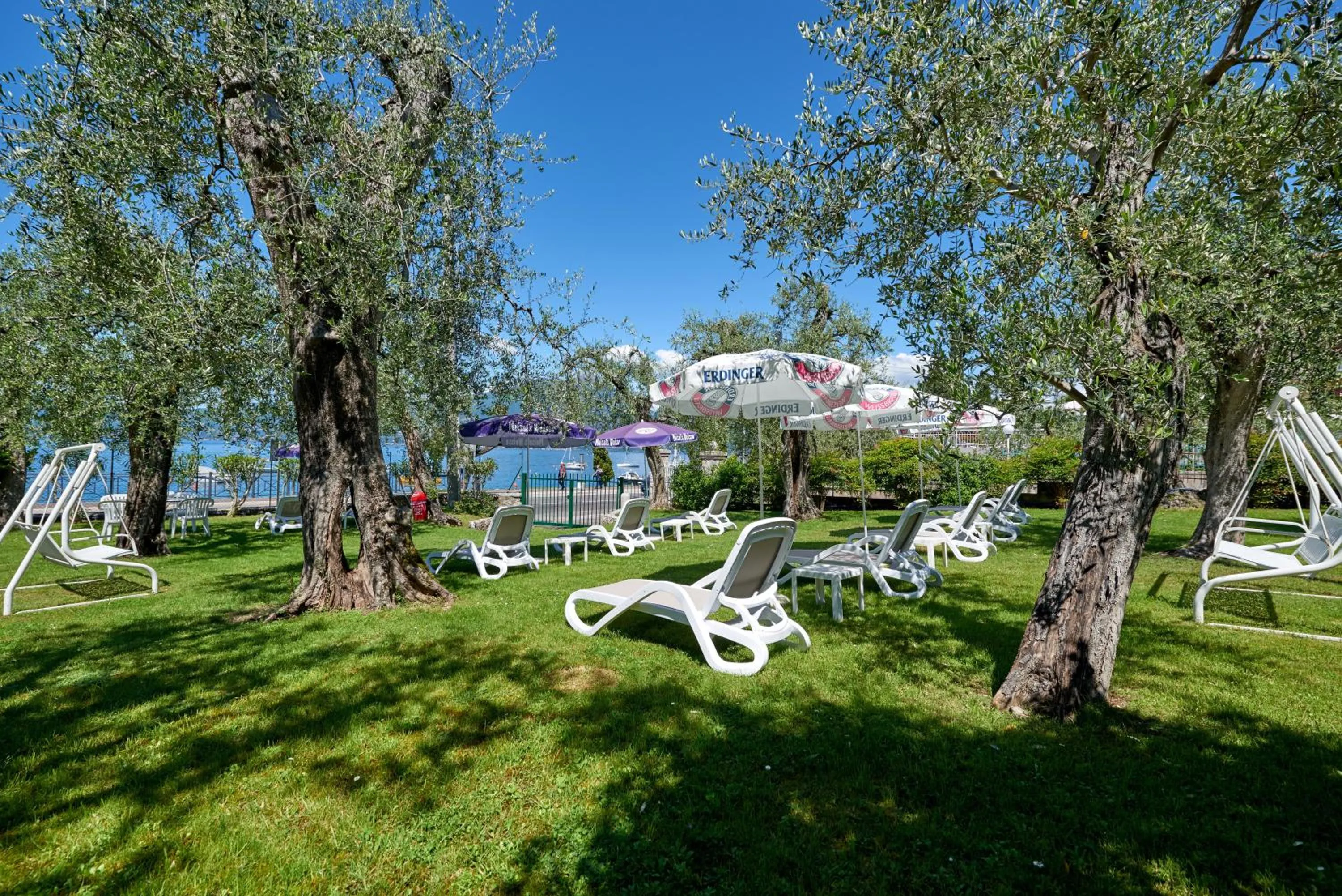 Garden in Hotel Benacus Torri del Benaco